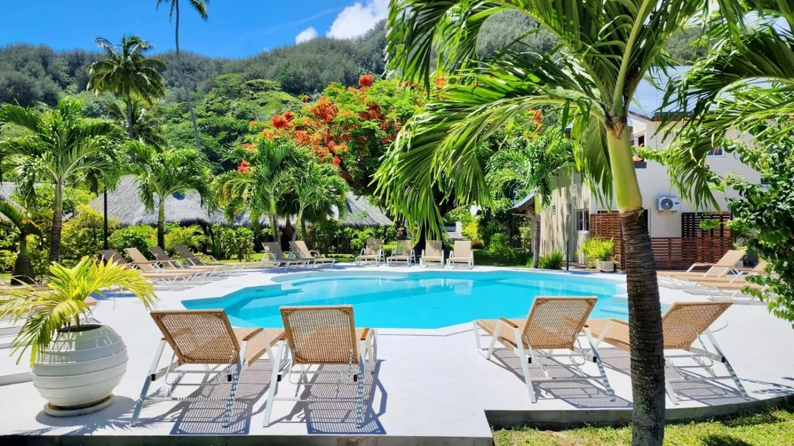 Swimming pool in Hotel Hibiscus