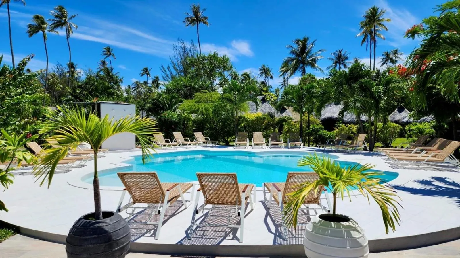 Swimming pool in Hotel Hibiscus