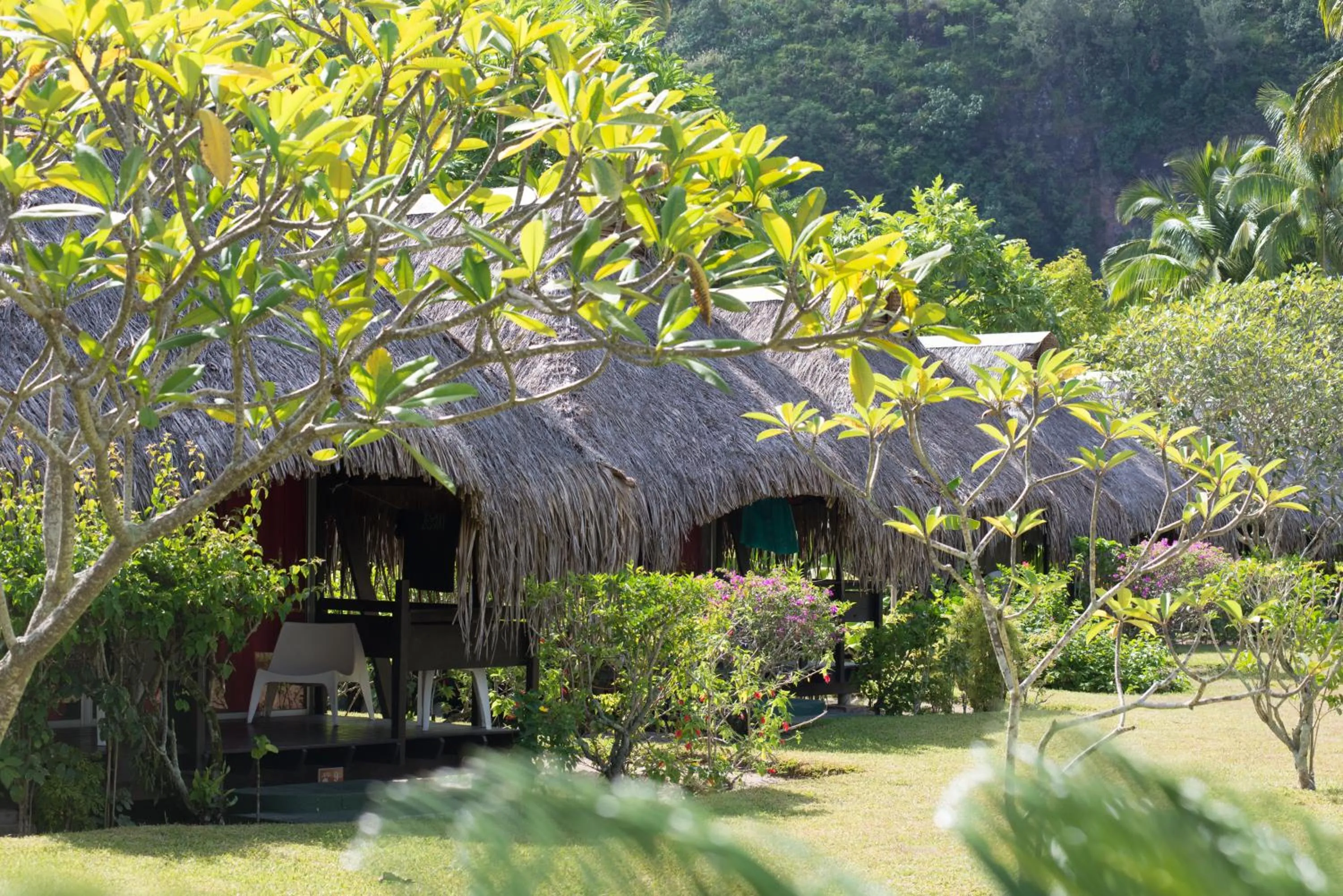 Garden in Hotel Hibiscus