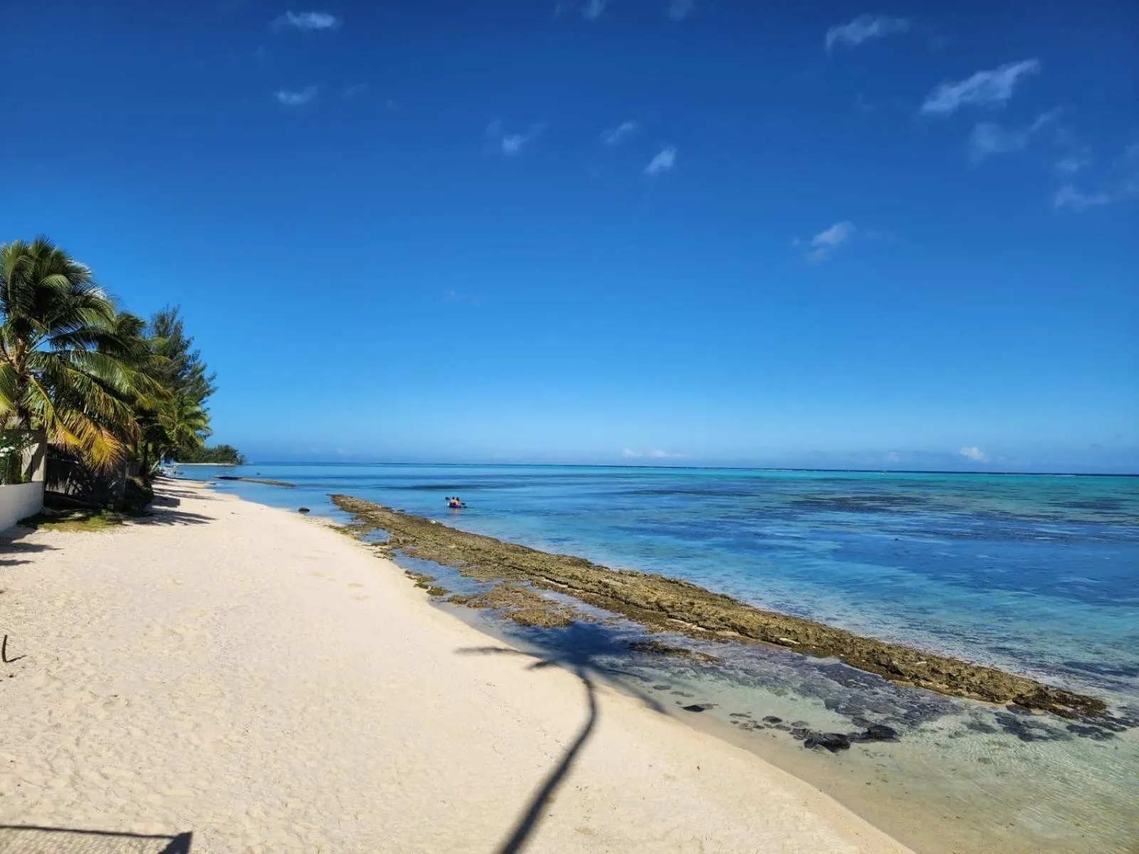 Beach in Hotel Hibiscus