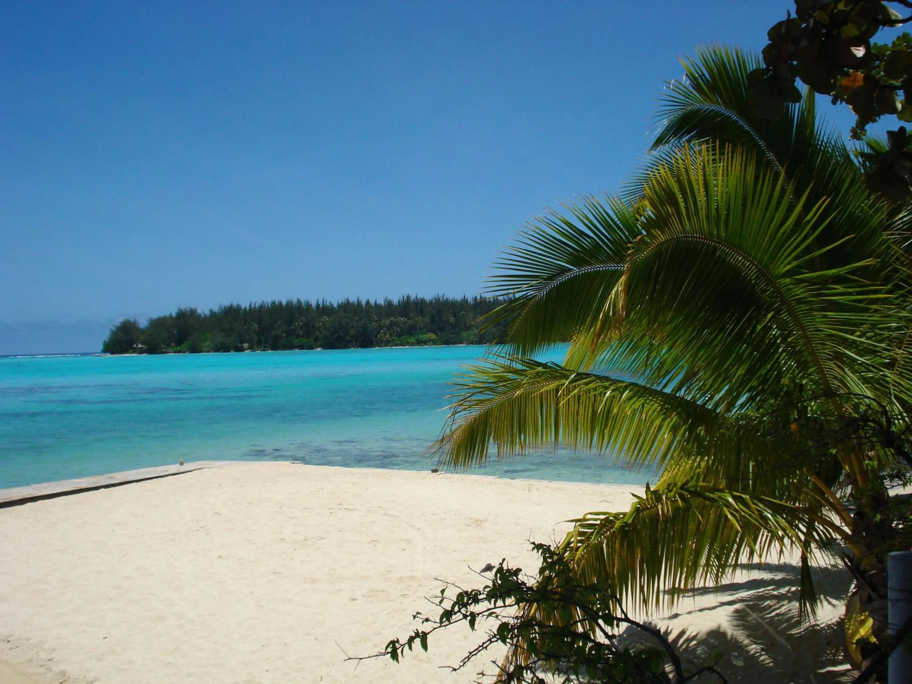 Day in Hotel Hibiscus