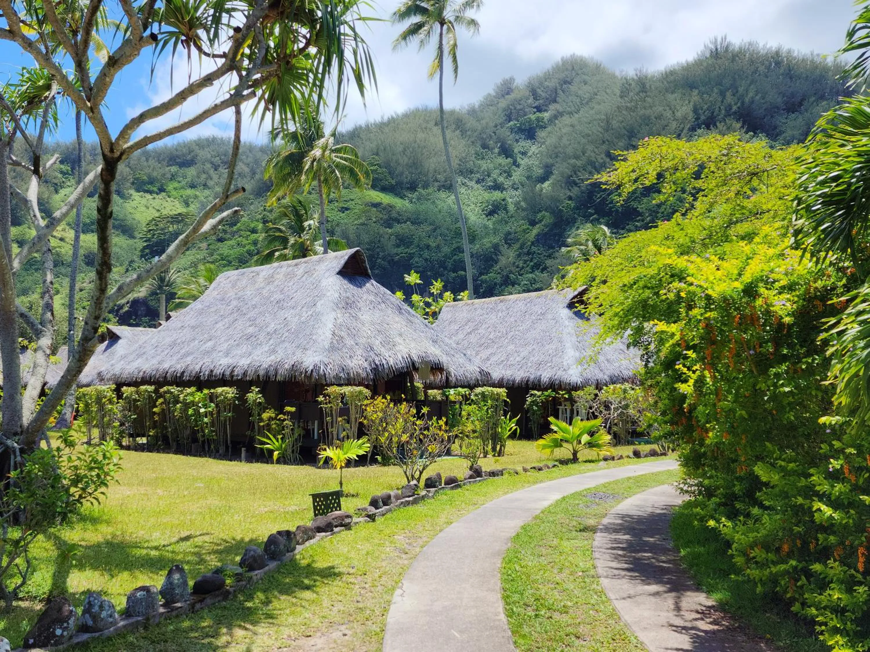 Garden view in Hotel Hibiscus