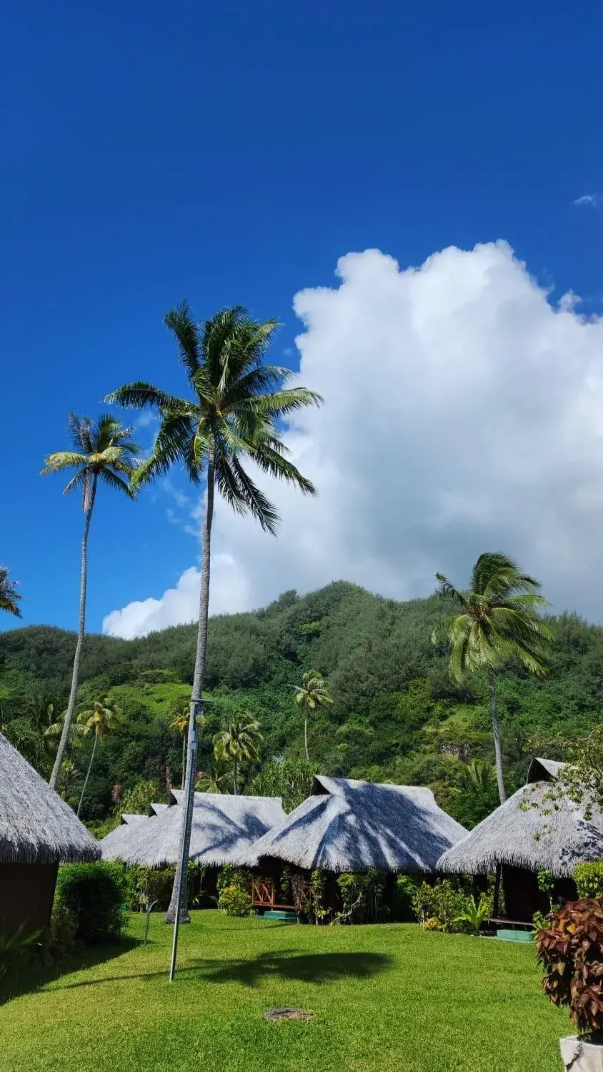 Deluxe Bungalow with Garden View in Hotel Hibiscus Deluxe Bungalow with Garden View in Hotel Hibiscus