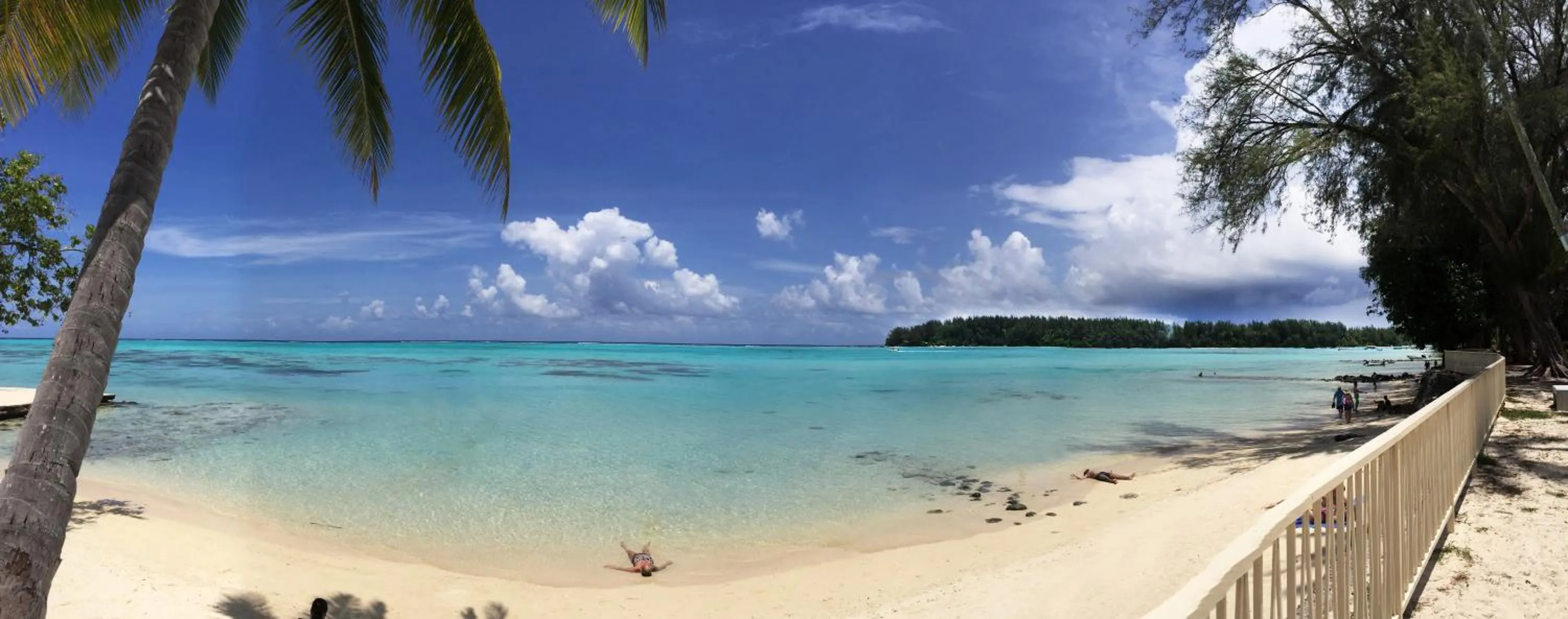 Natural landscape in Hotel Hibiscus