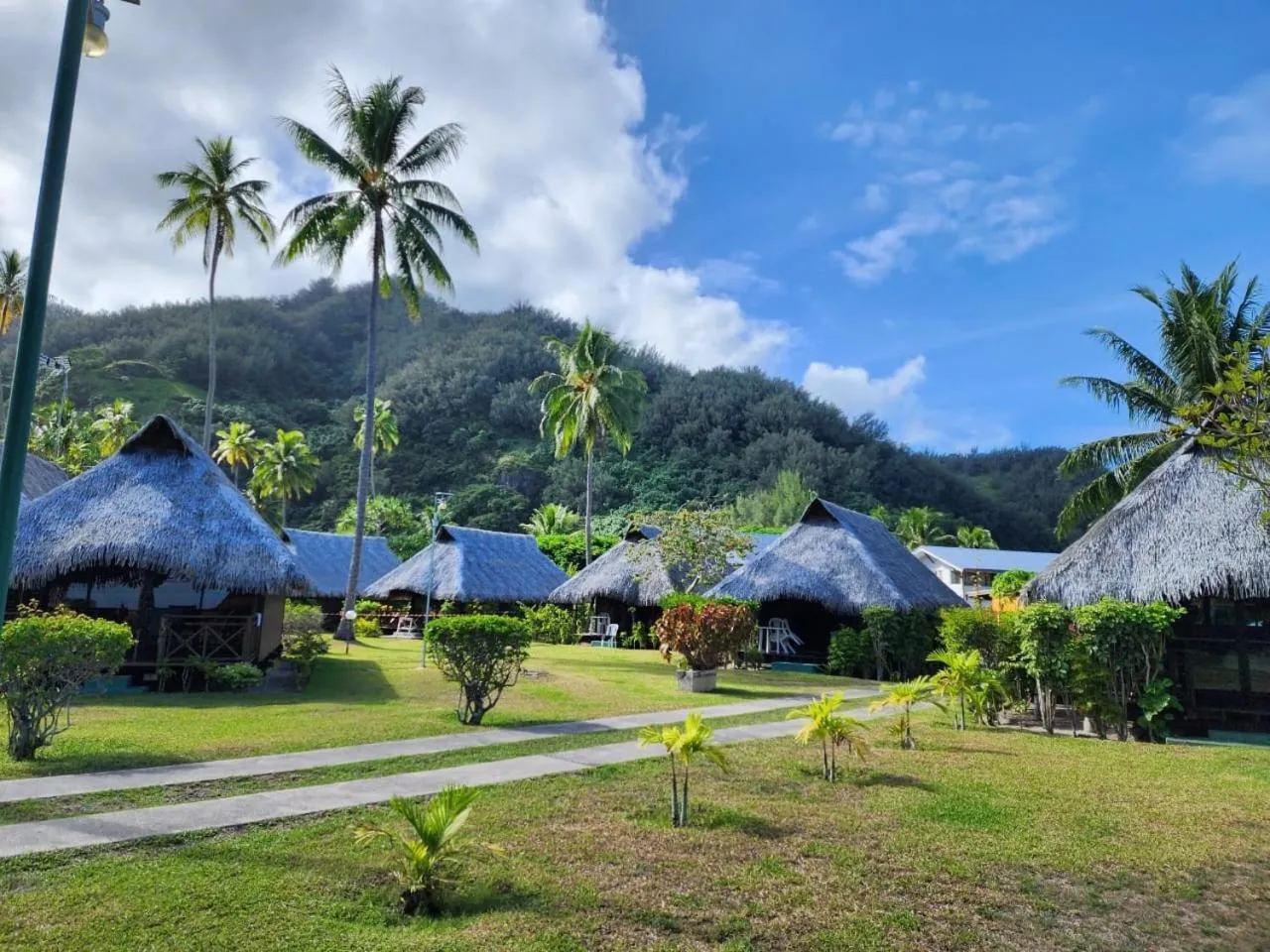 View (from property/room) in Hotel Hibiscus