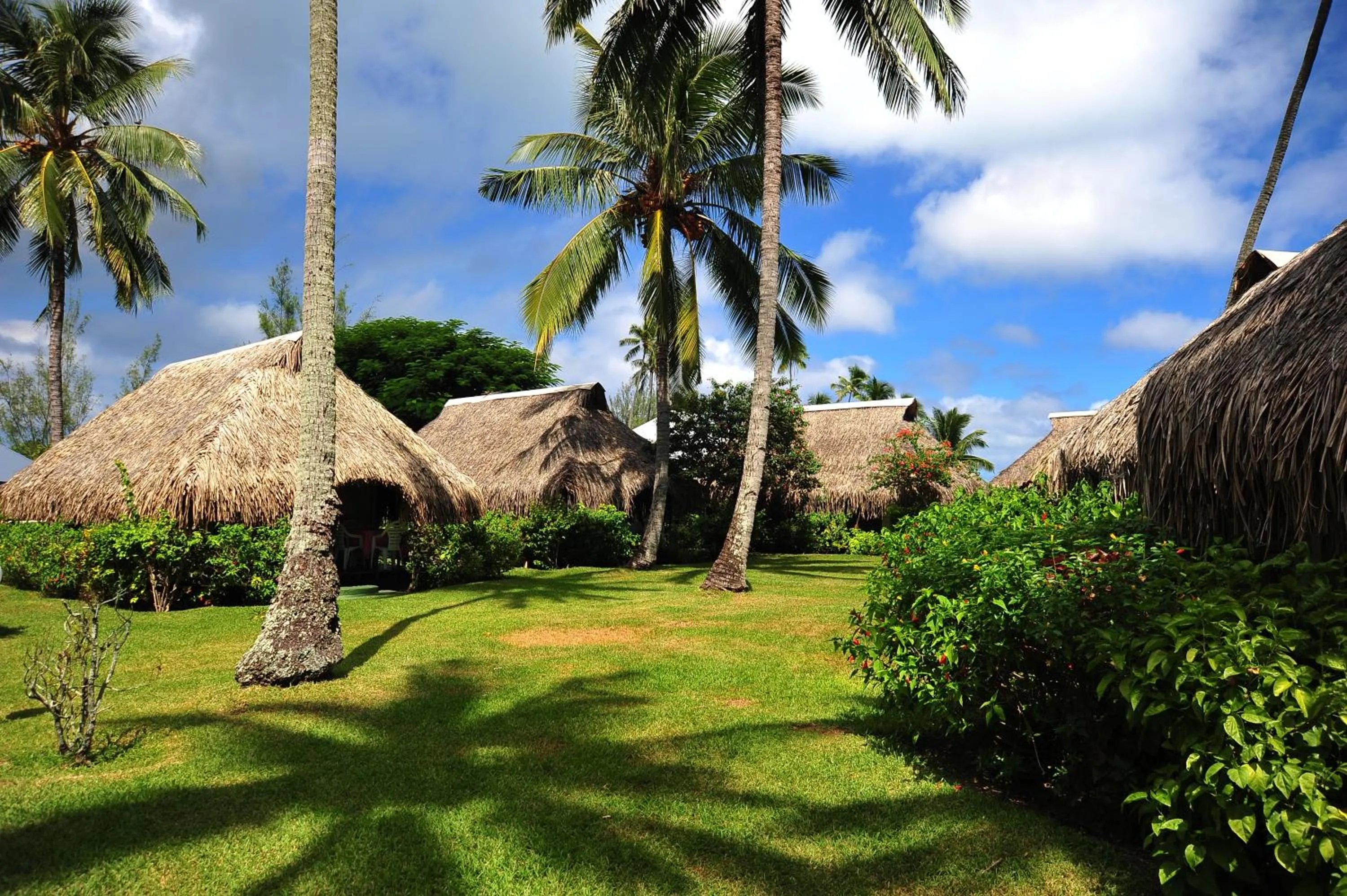 Bungalow with Garden View - Double in Hotel Hibiscus