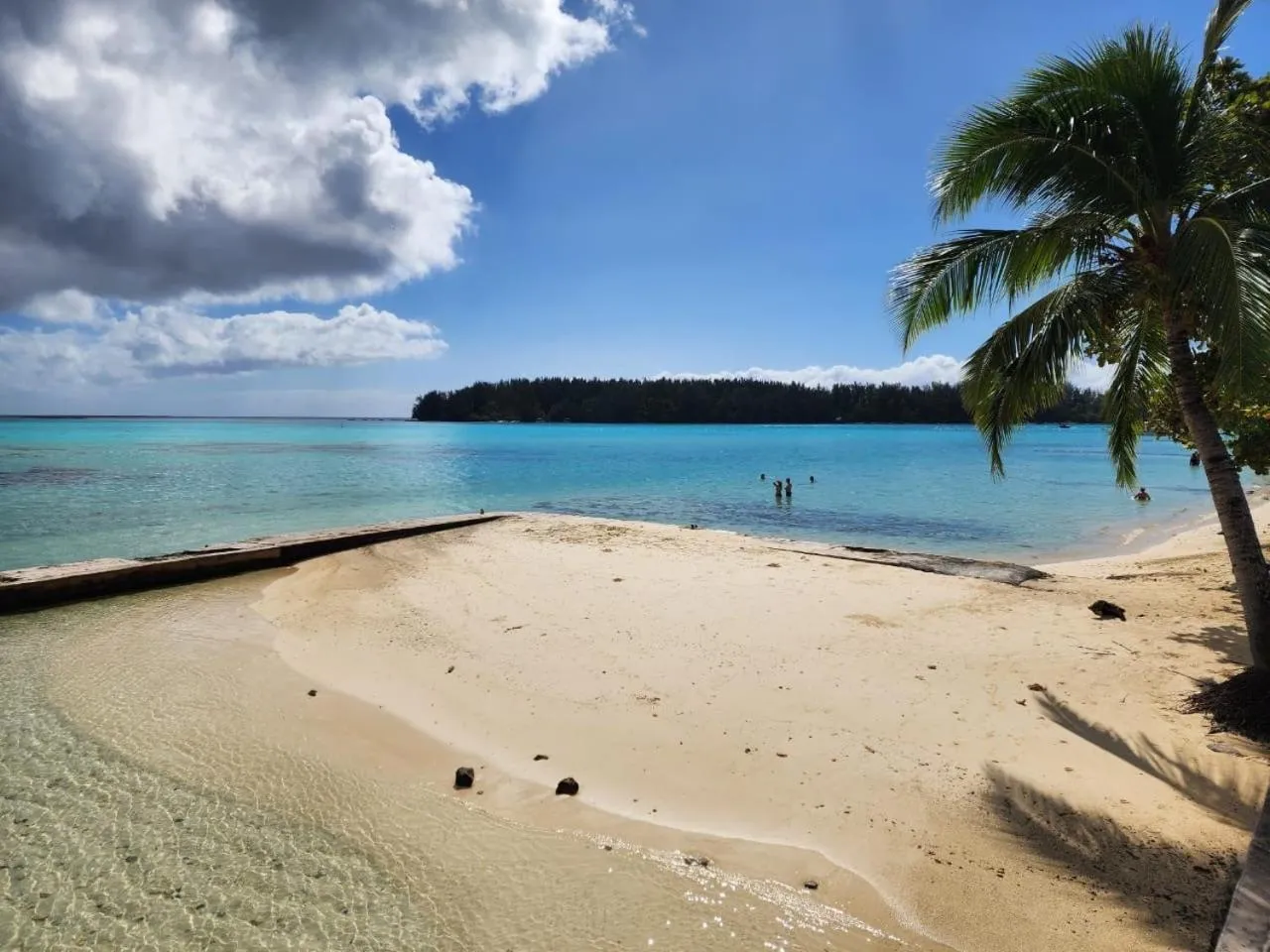 Beach in Hotel Hibiscus