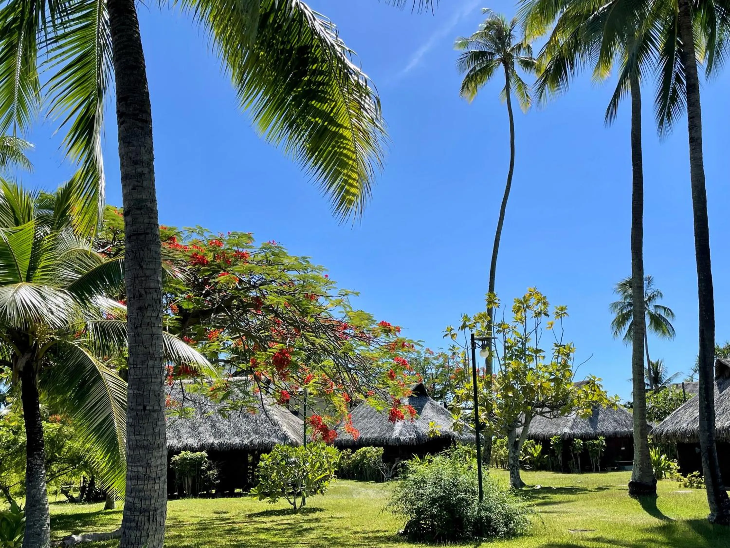 Garden in Hotel Hibiscus