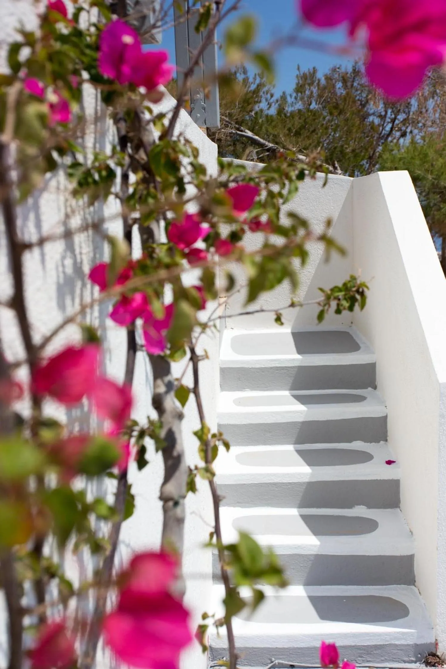 Balcony/Terrace in Acropole Sunrise