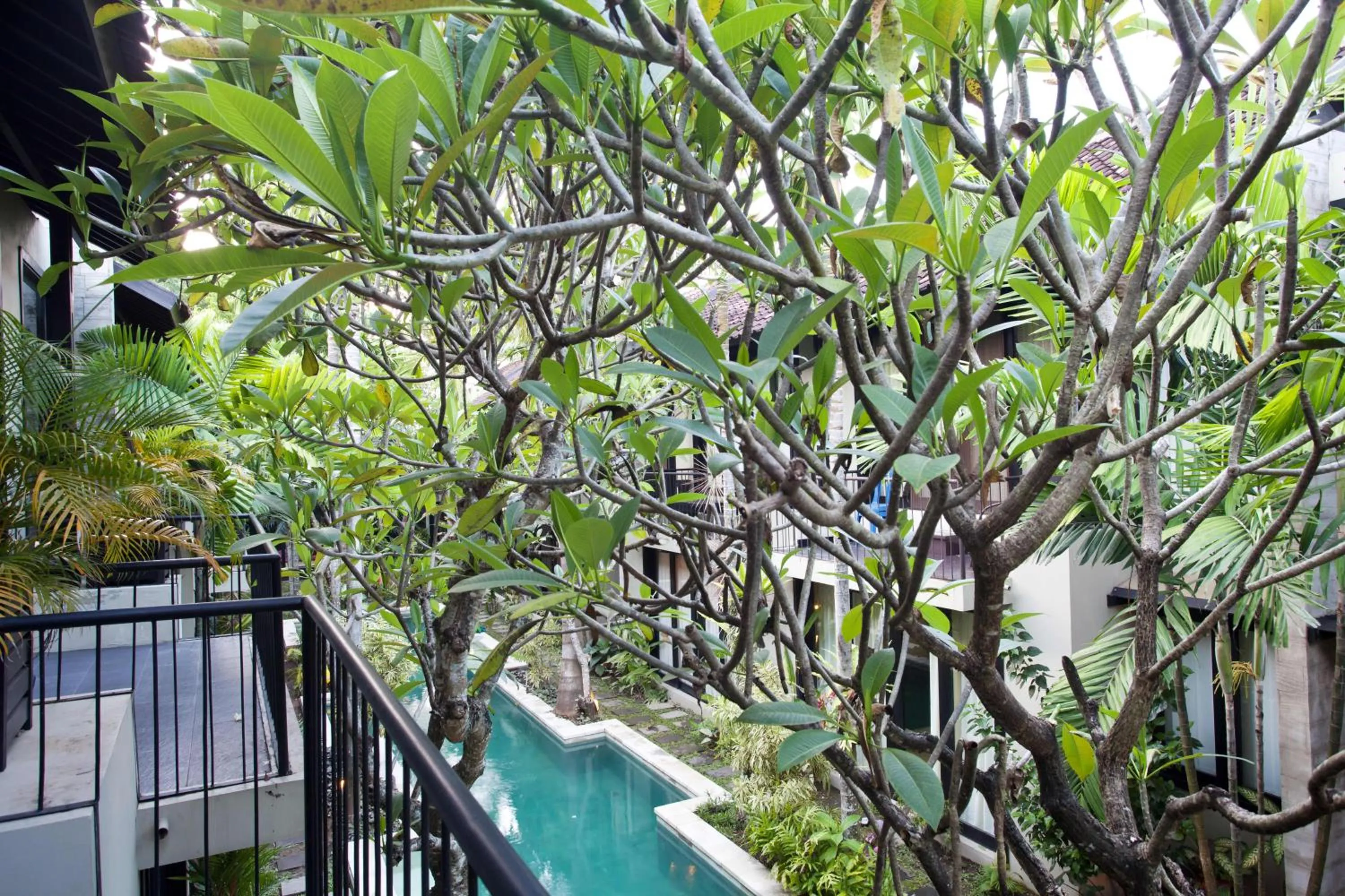 Pool view in S'cape Condotel