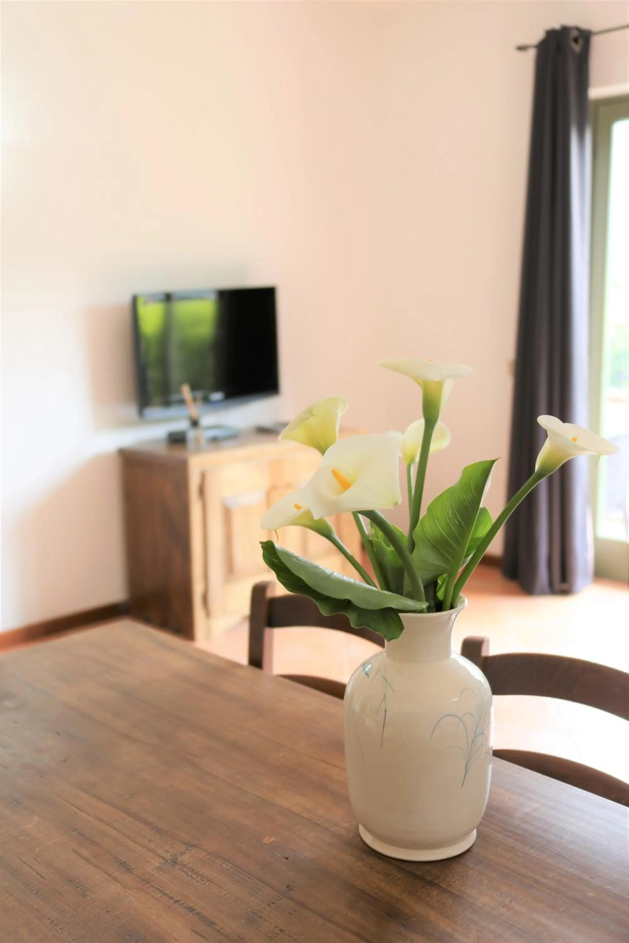 TV and multimedia in Appartamenti Ferrari Residence