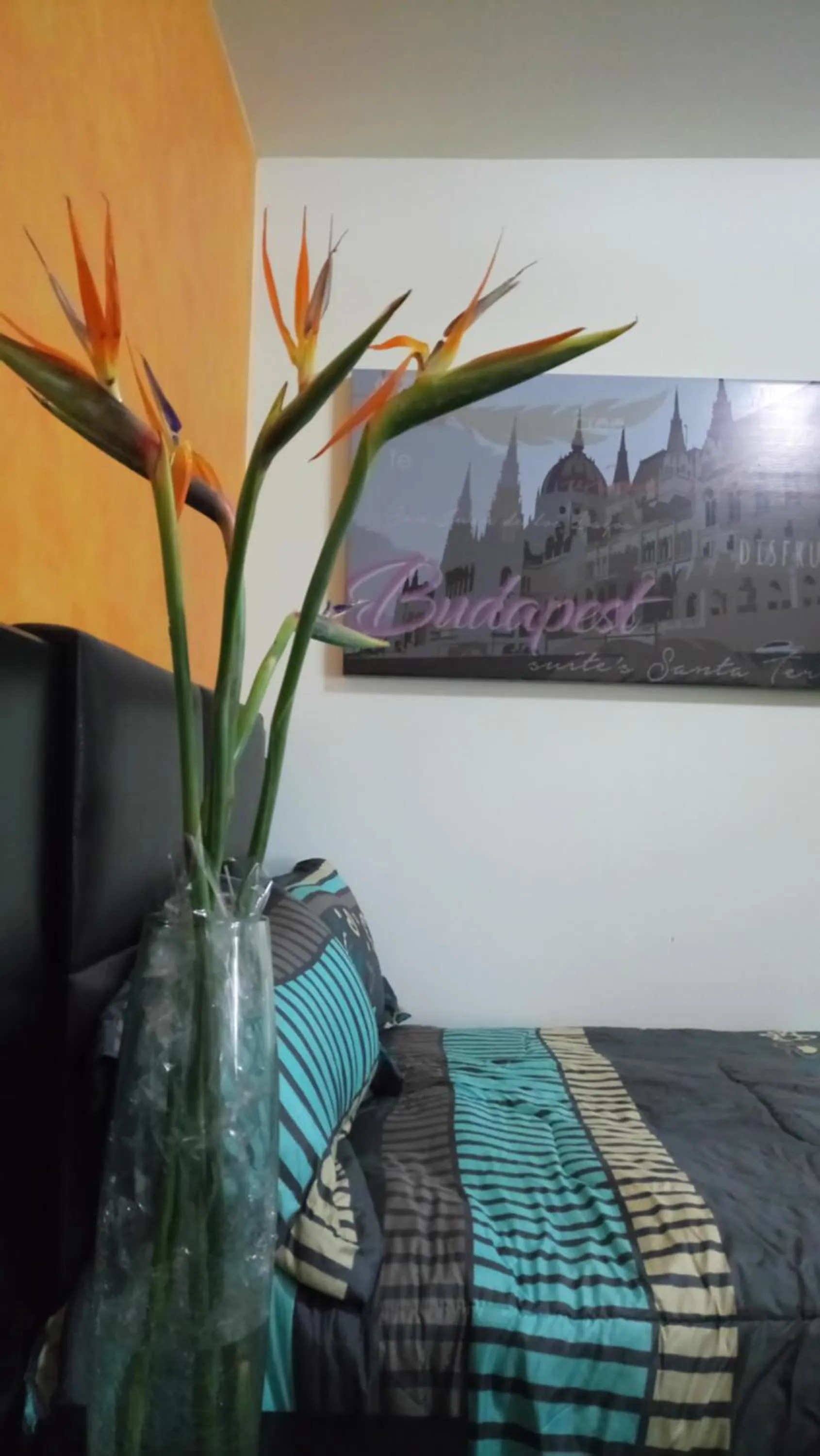 Bed in Suites Sta Tere