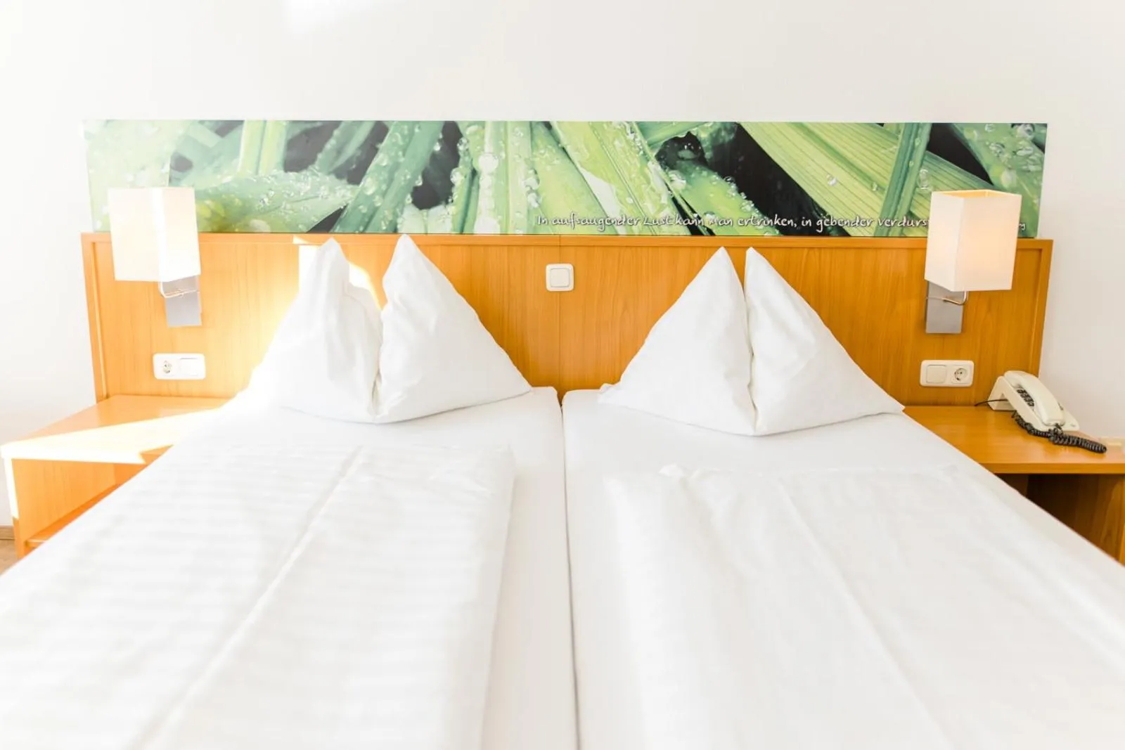 Double Room - single occupancy in Hotel Wirtshaus Römerhof