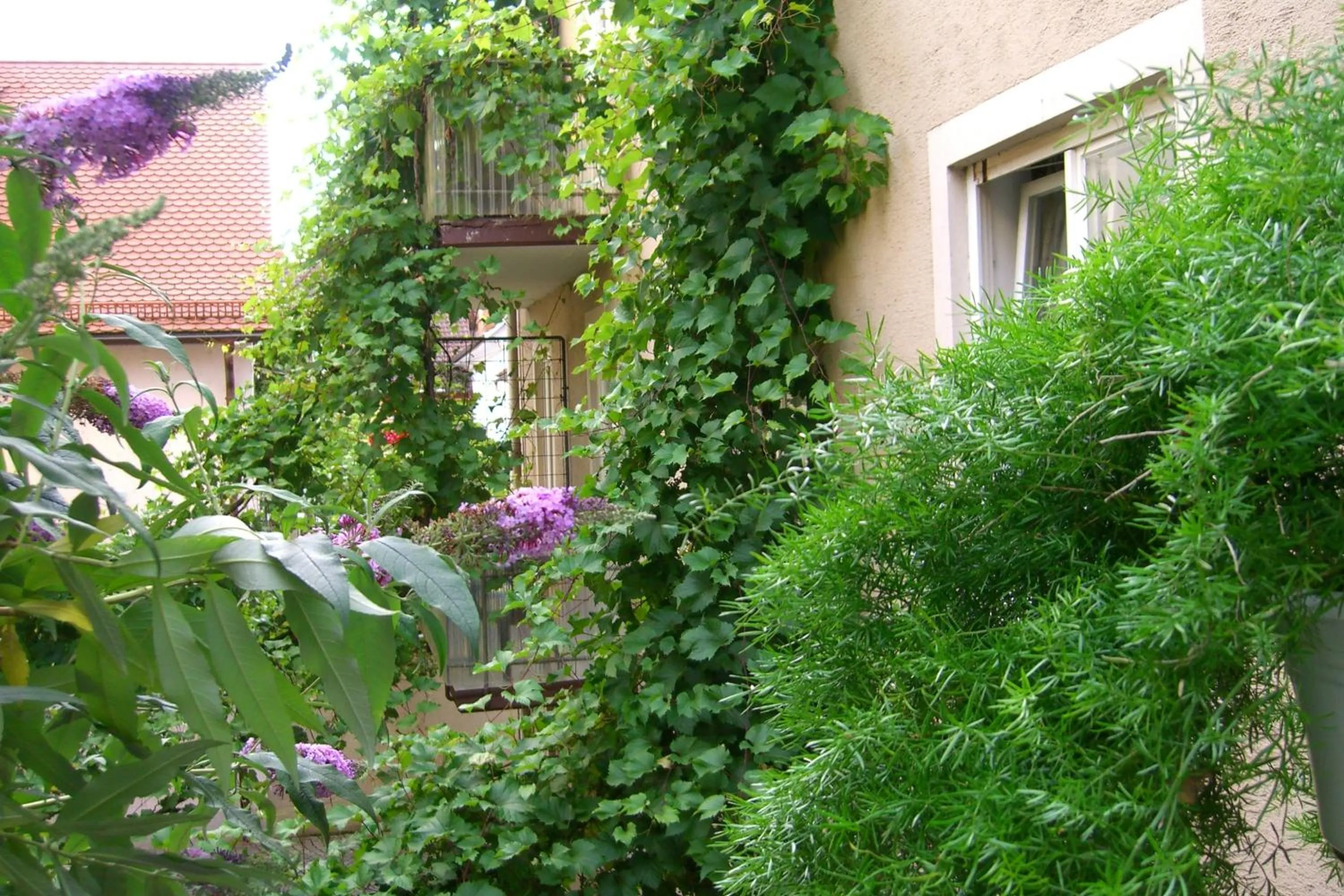 Property building in Hotel Möve garni