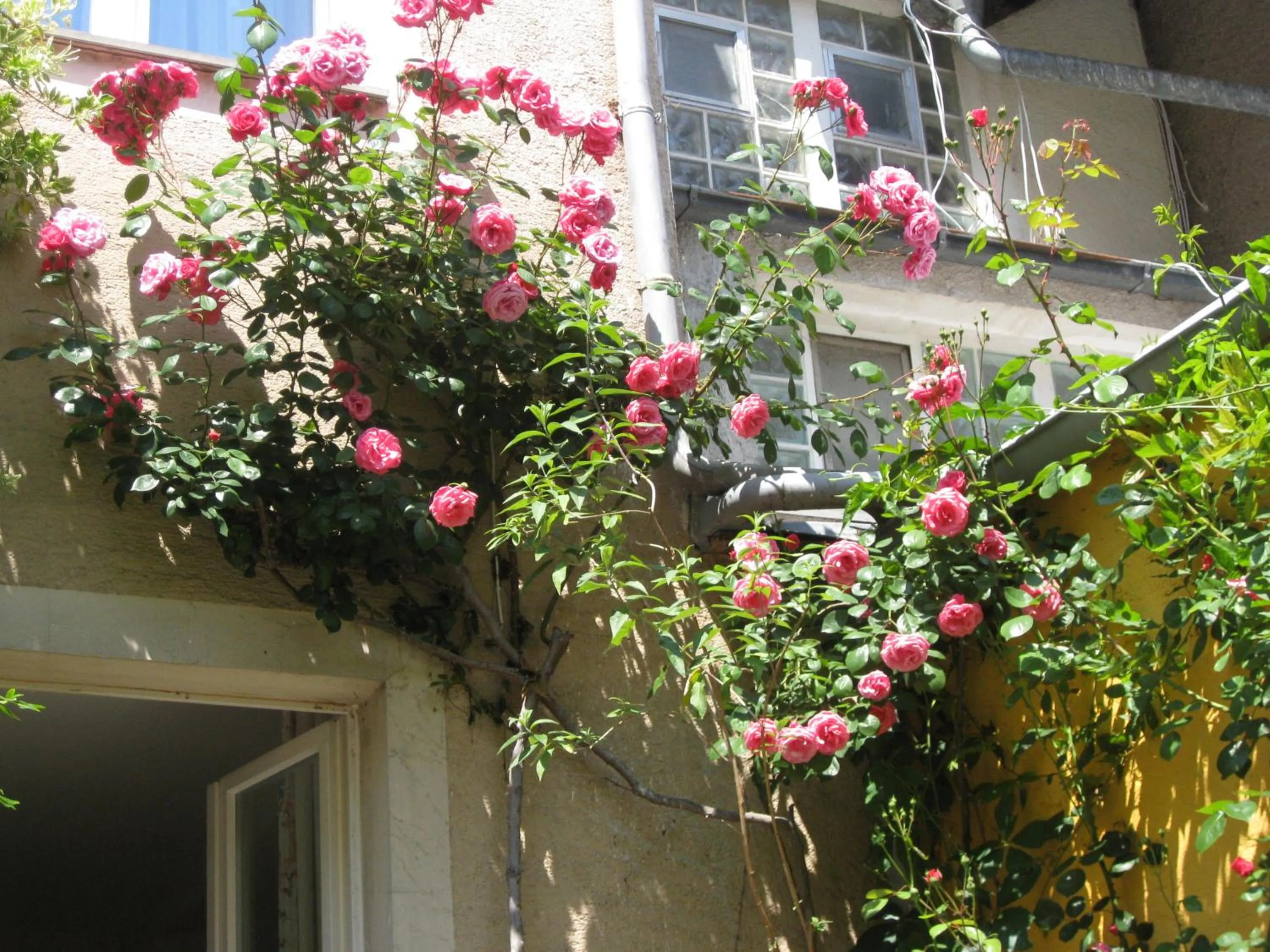 Property building in Hotel Möve garni