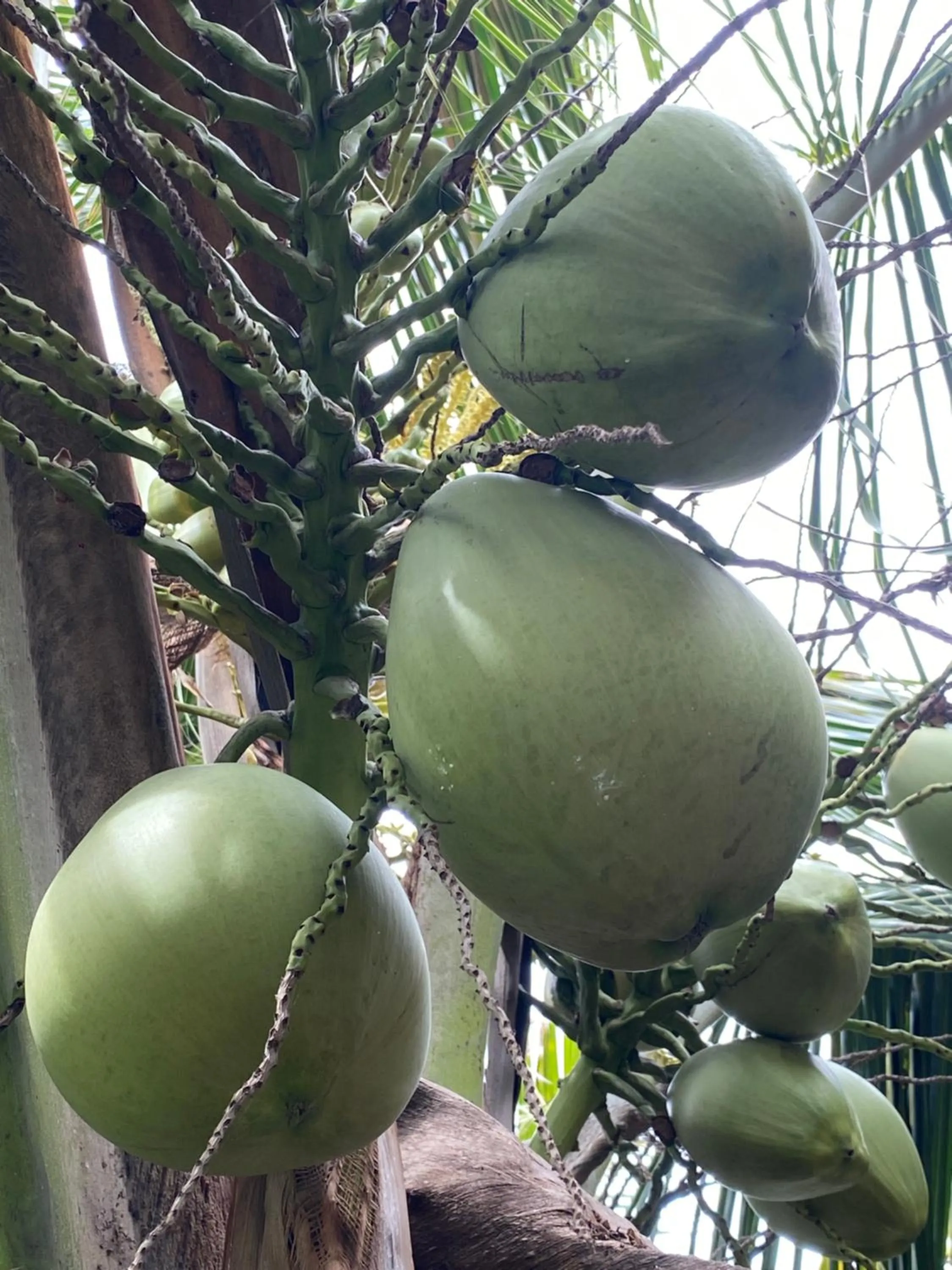 Day in Cave Beach Bungalow