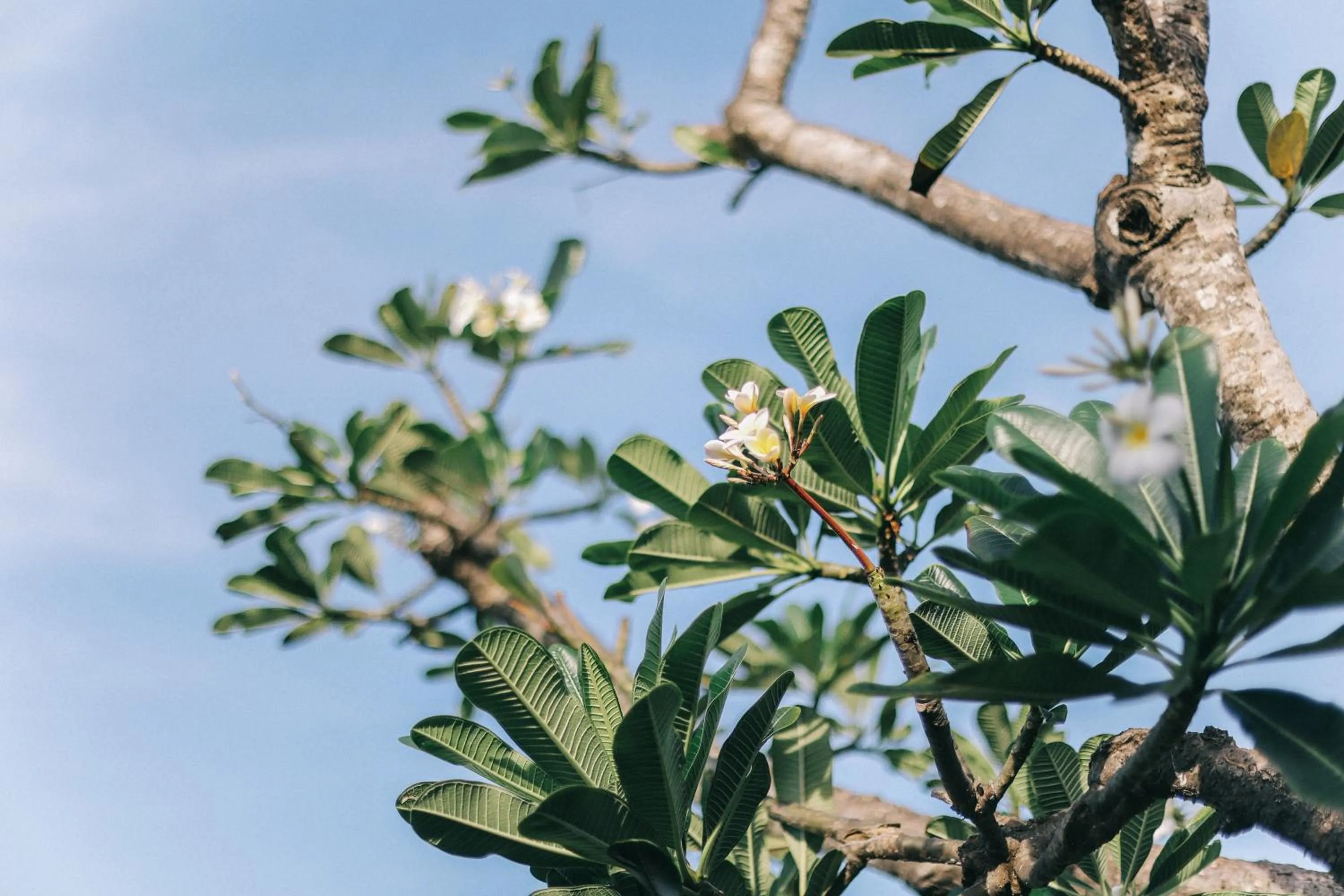 Spring in Cave Beach Bungalow