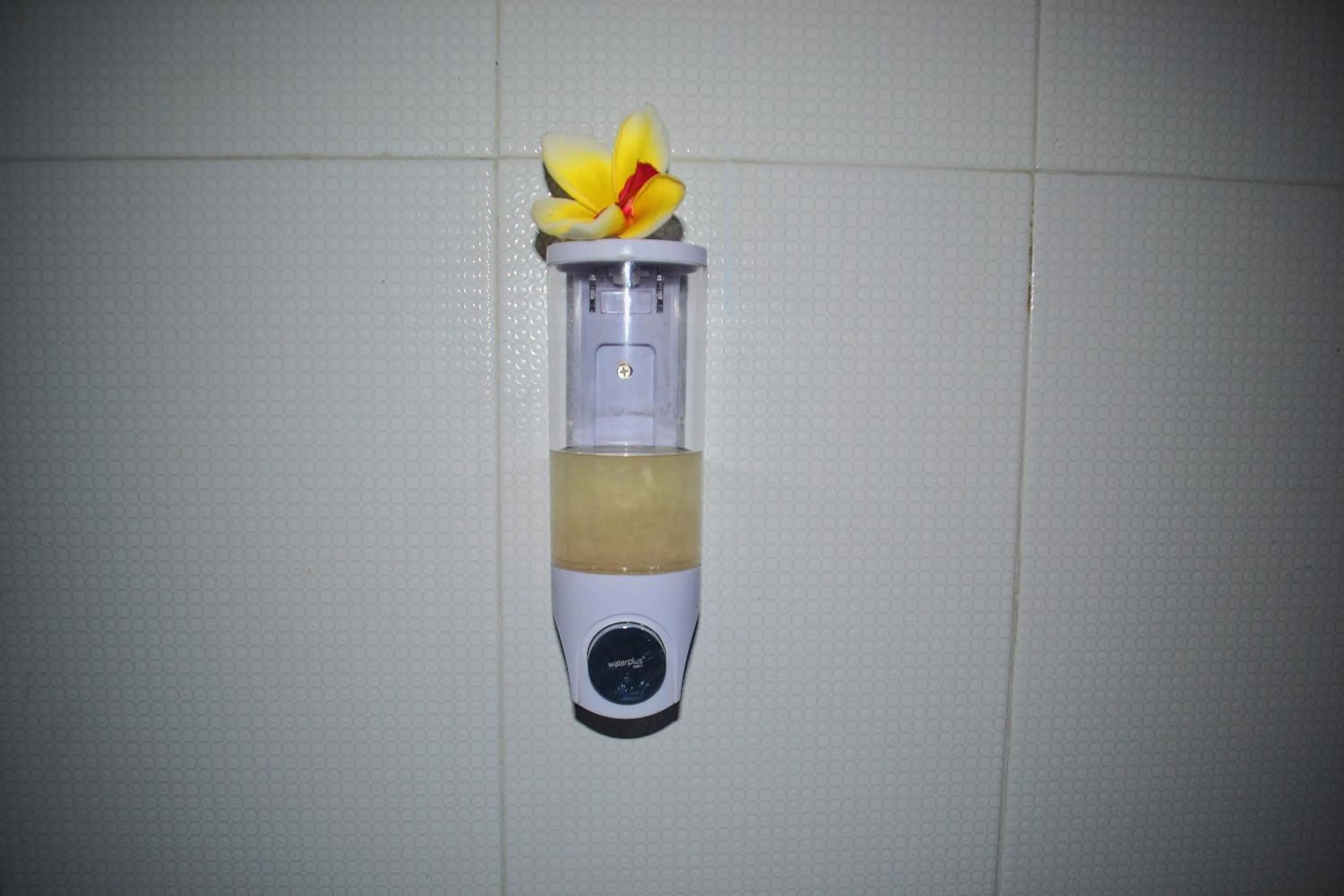 Drinks in Cave Beach Bungalow