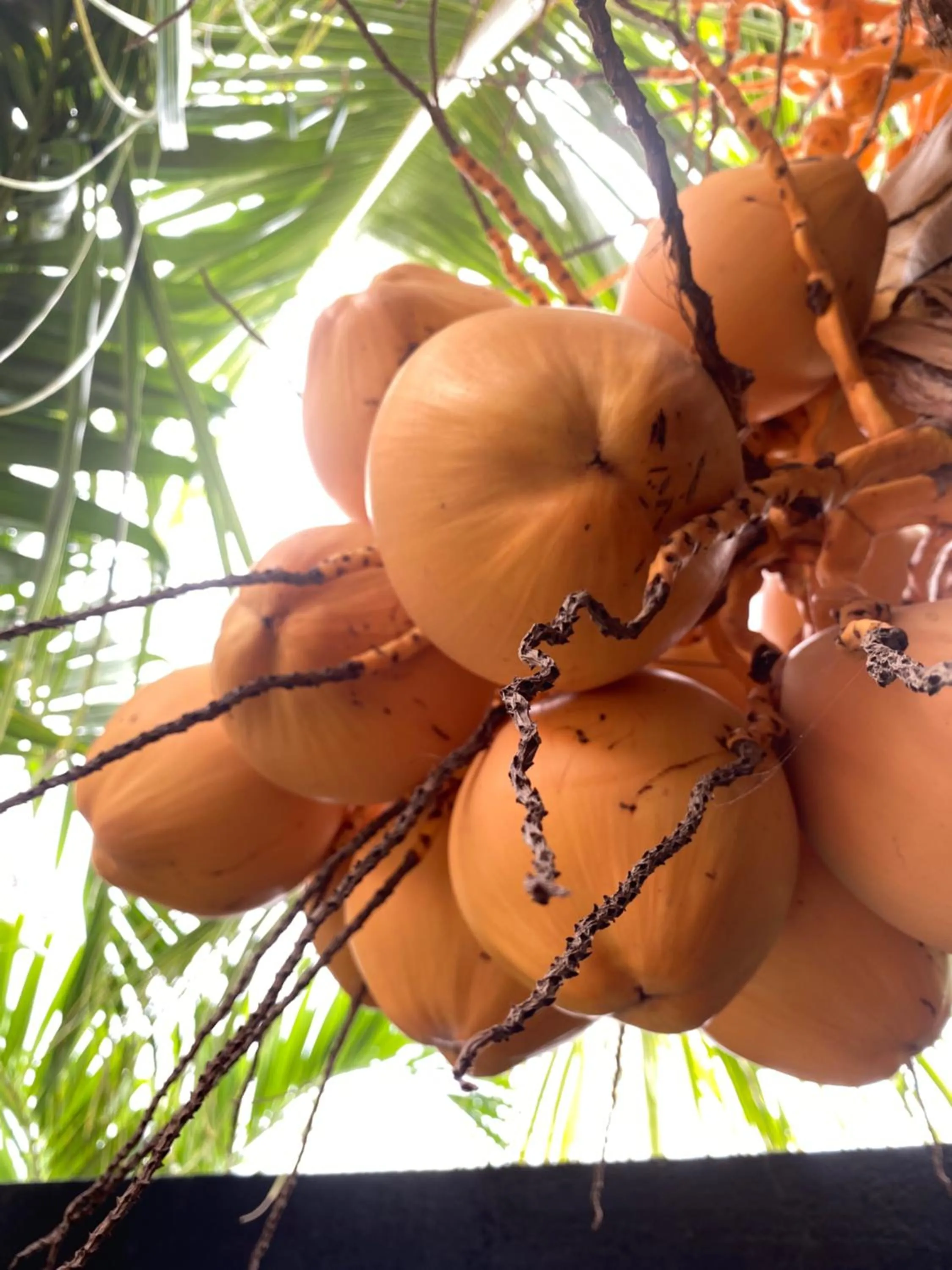 Day in Cave Beach Bungalow