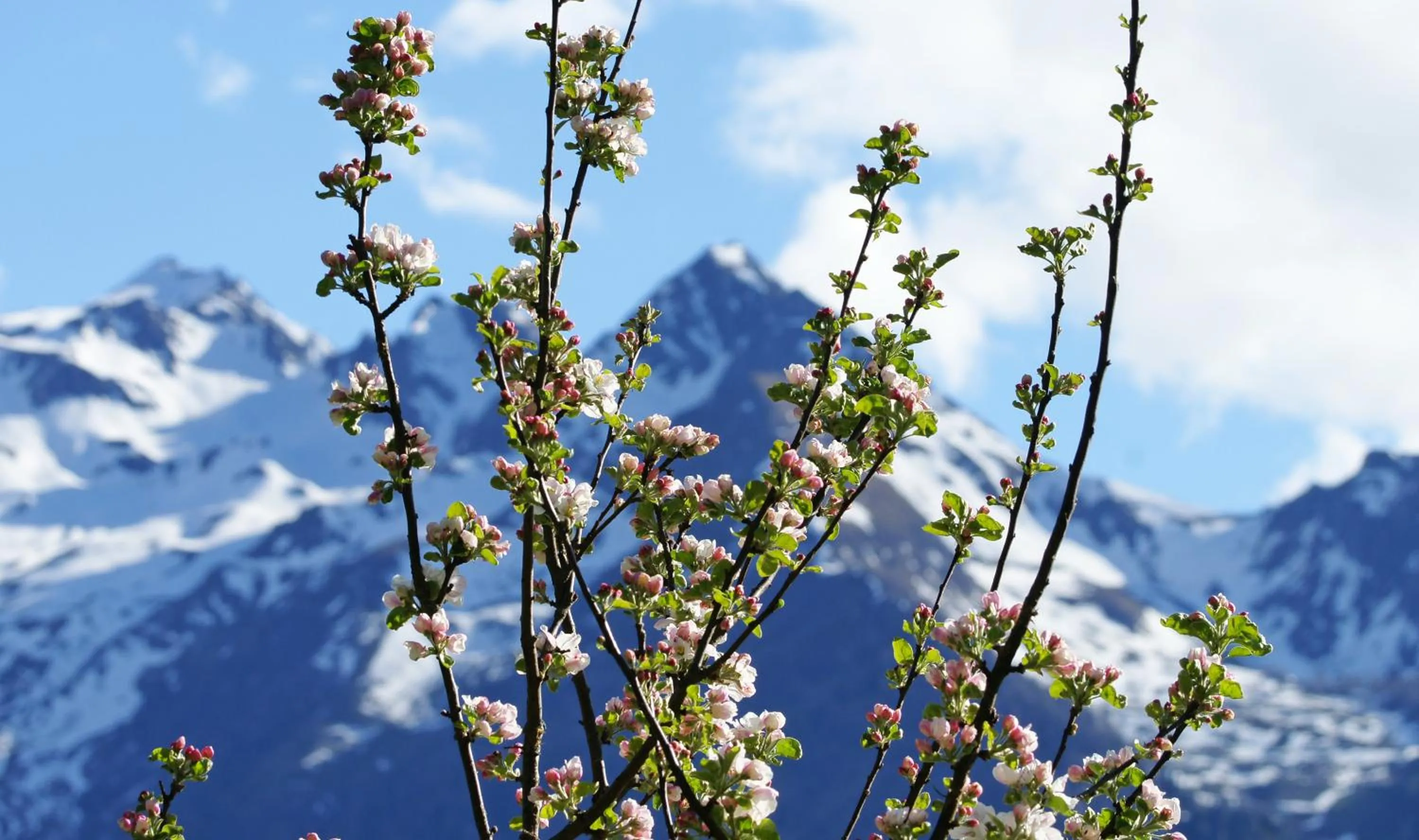 Spring in Haus Wegscheider