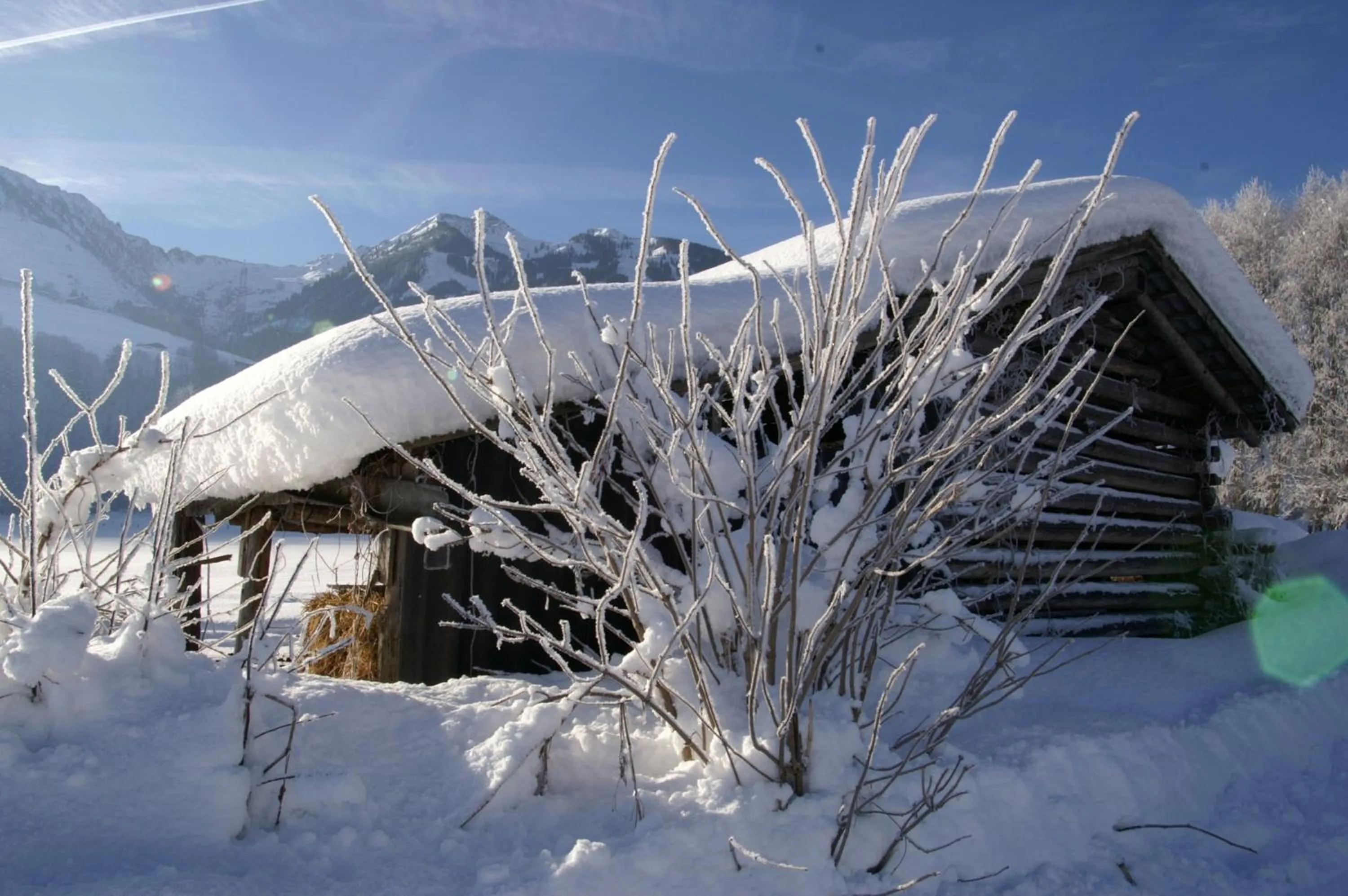Day in Haus Wegscheider