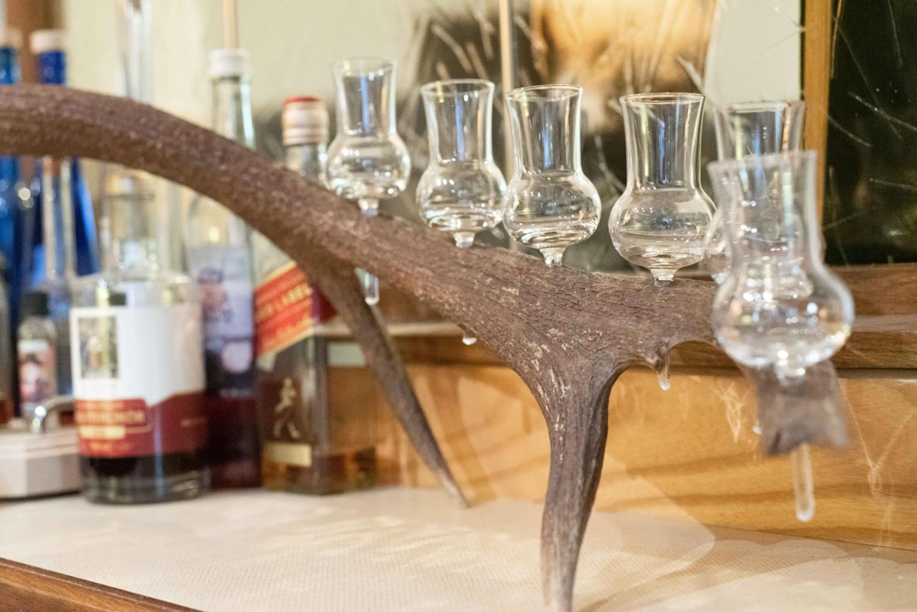 Lounge or bar in Haus Wegscheider
