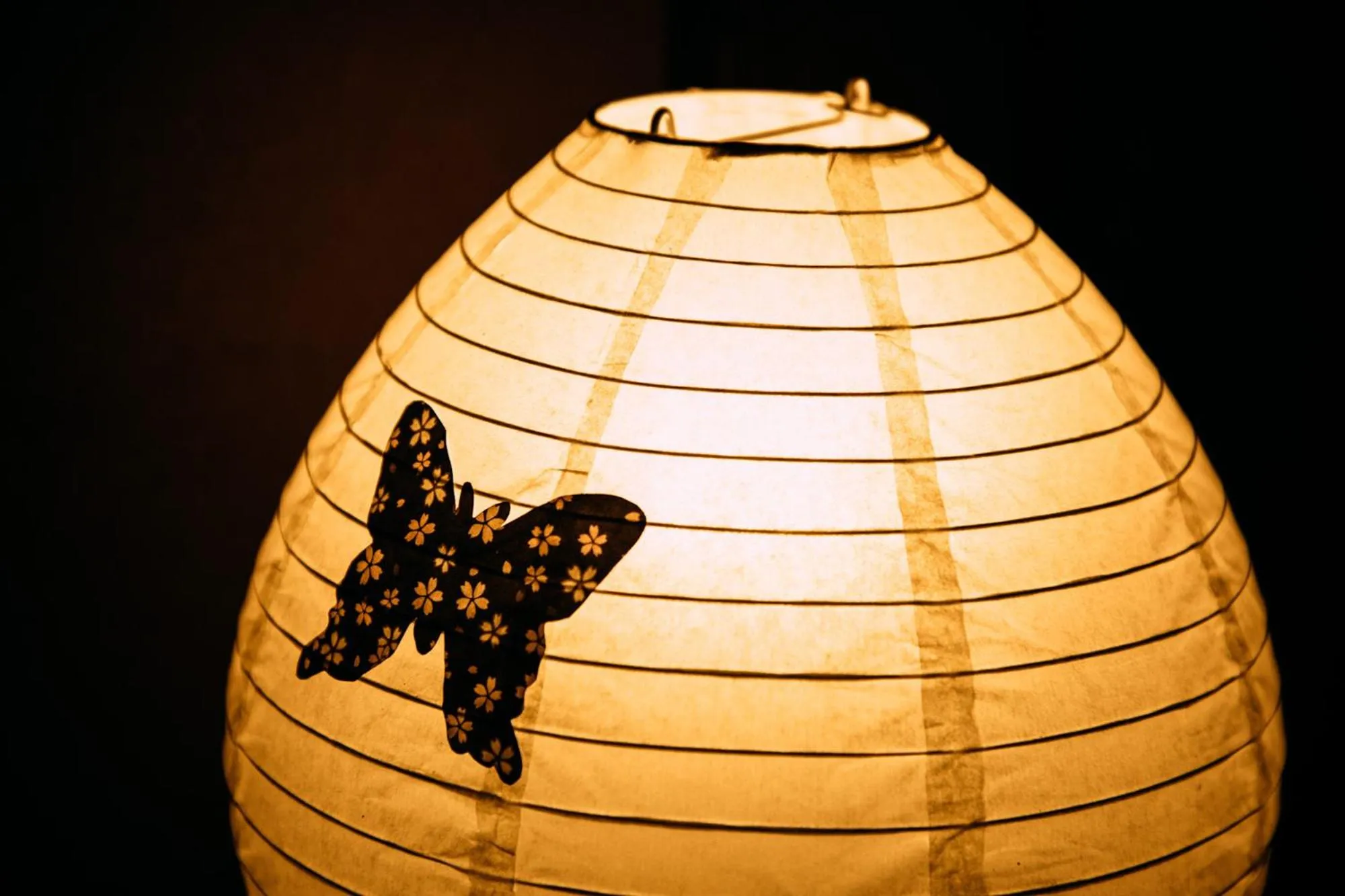 Photo of the whole room in Tsukito