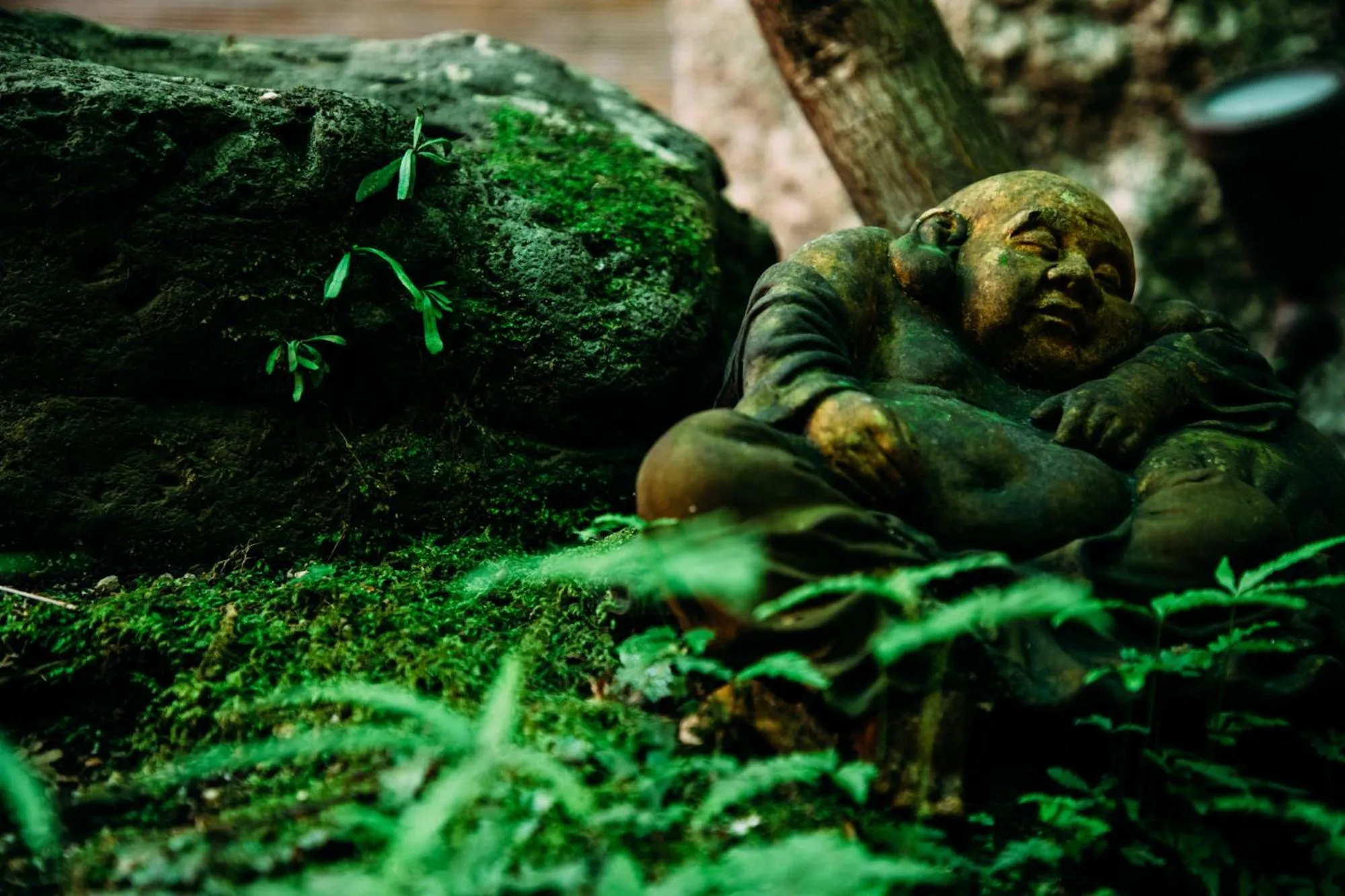 Garden view in Tsukito