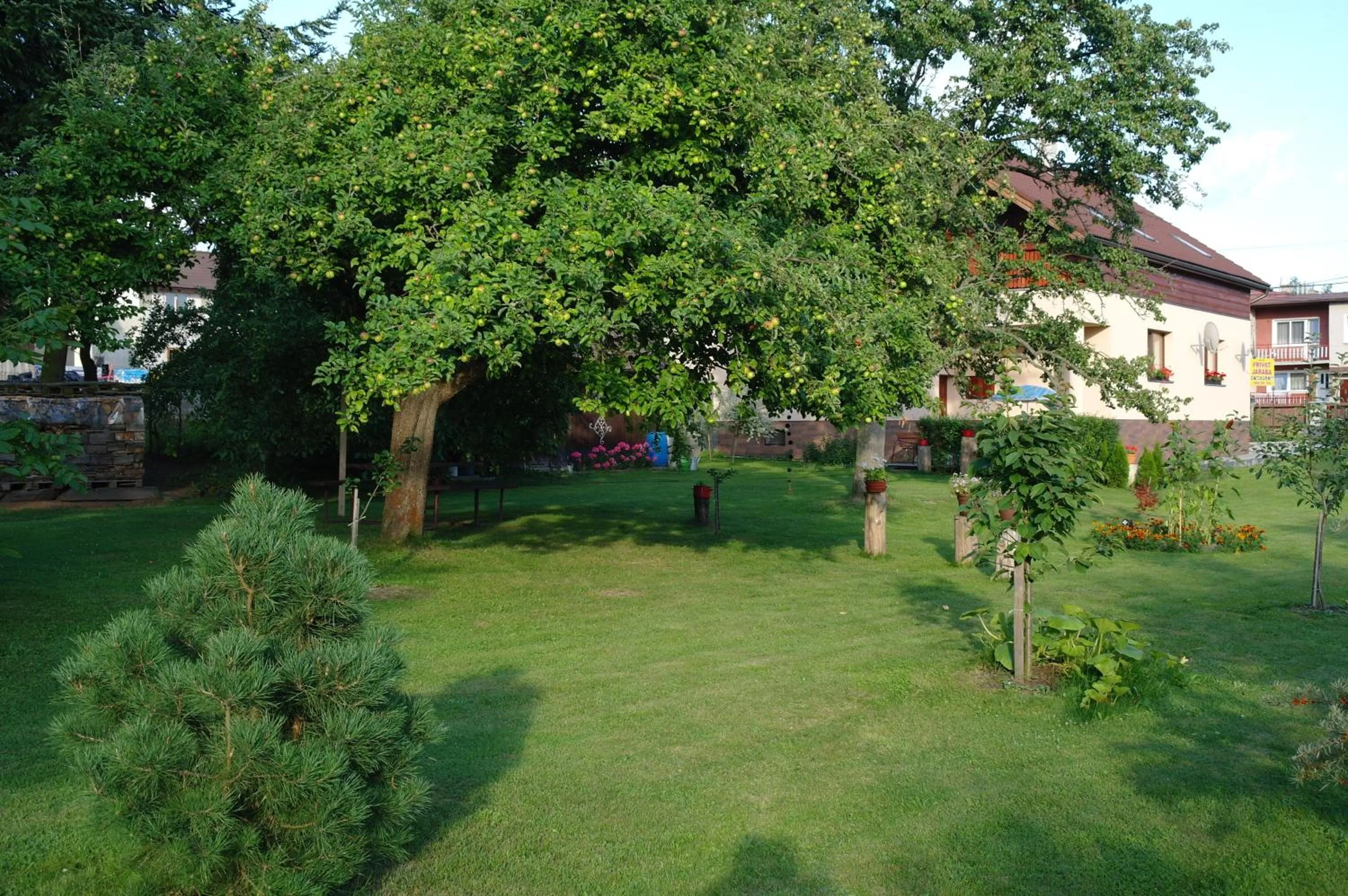 Neighbourhood in Penzion Jaraba