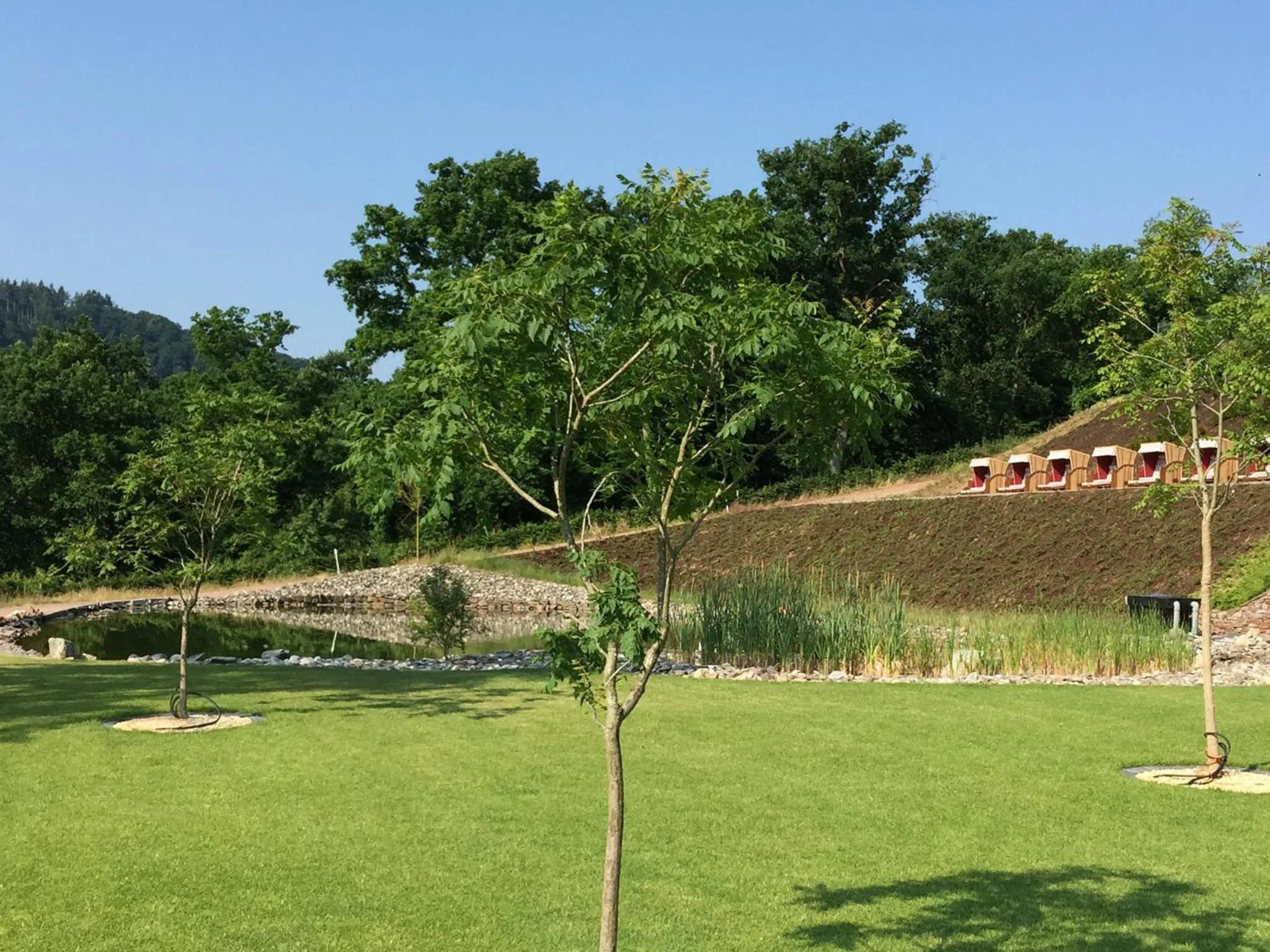 Garden in Moselstern Parkhotel Krähennest