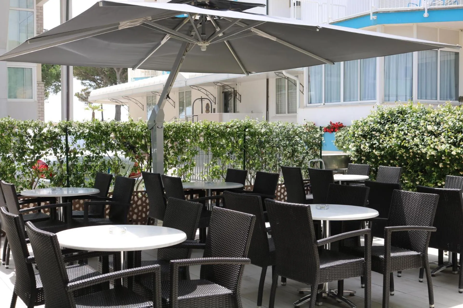 Garden in Hotel Castiglione