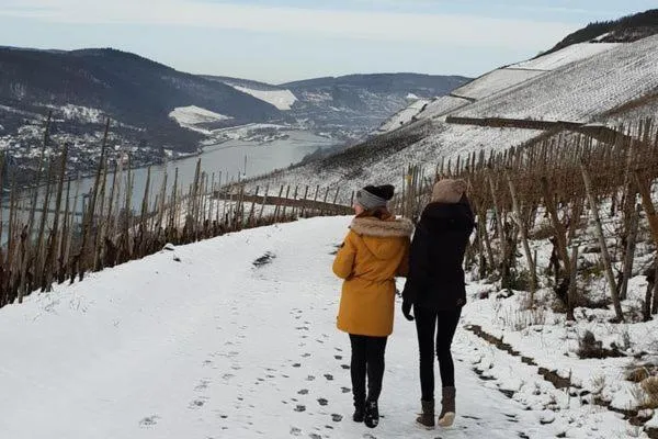 Seasons in Moselstern Hotel Brixiade &Triton