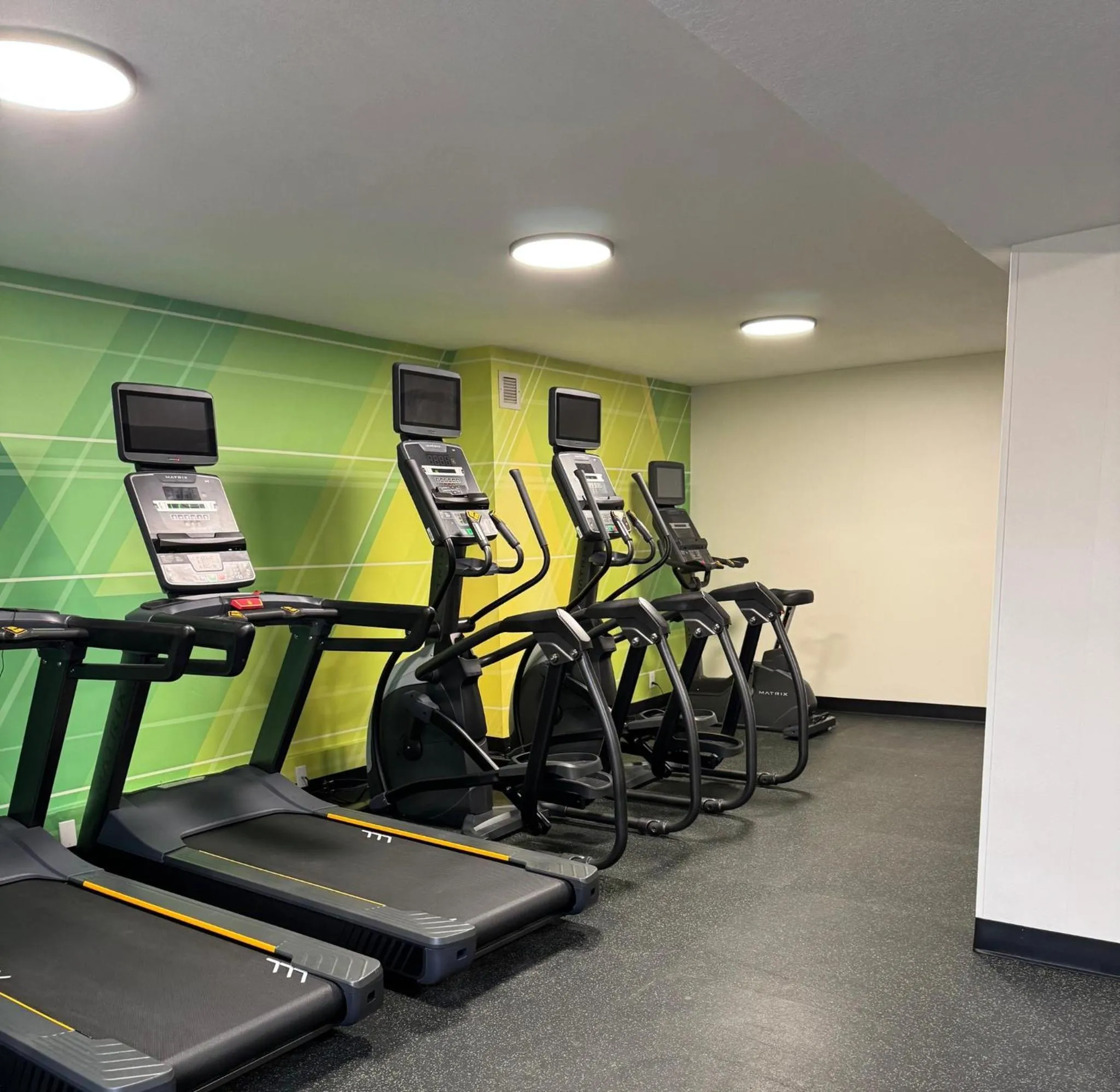 Fitness centre/facilities in Holiday Inn Roanoke - Tanglewood Route 419 & I 581 by IHG