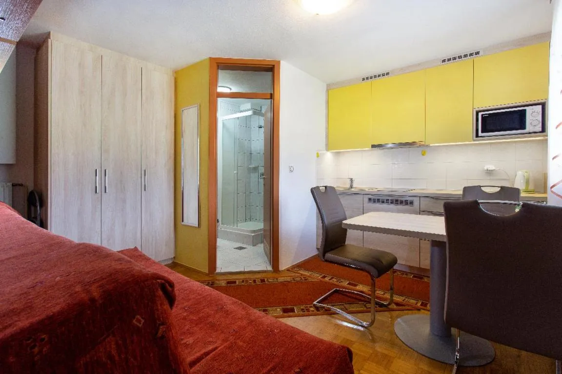 Kitchen or kitchenette in Rooms & Apartments Jana