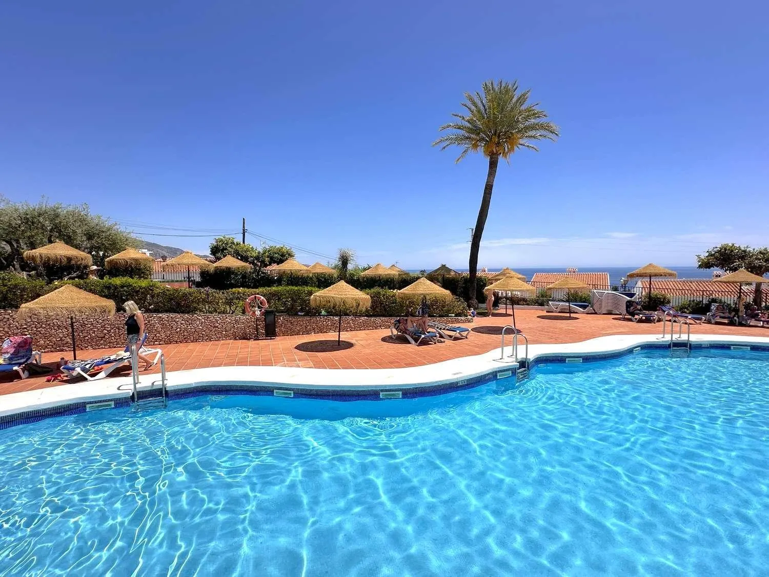 Swimming pool in Los Naranjos 11B Capistrano Casasol