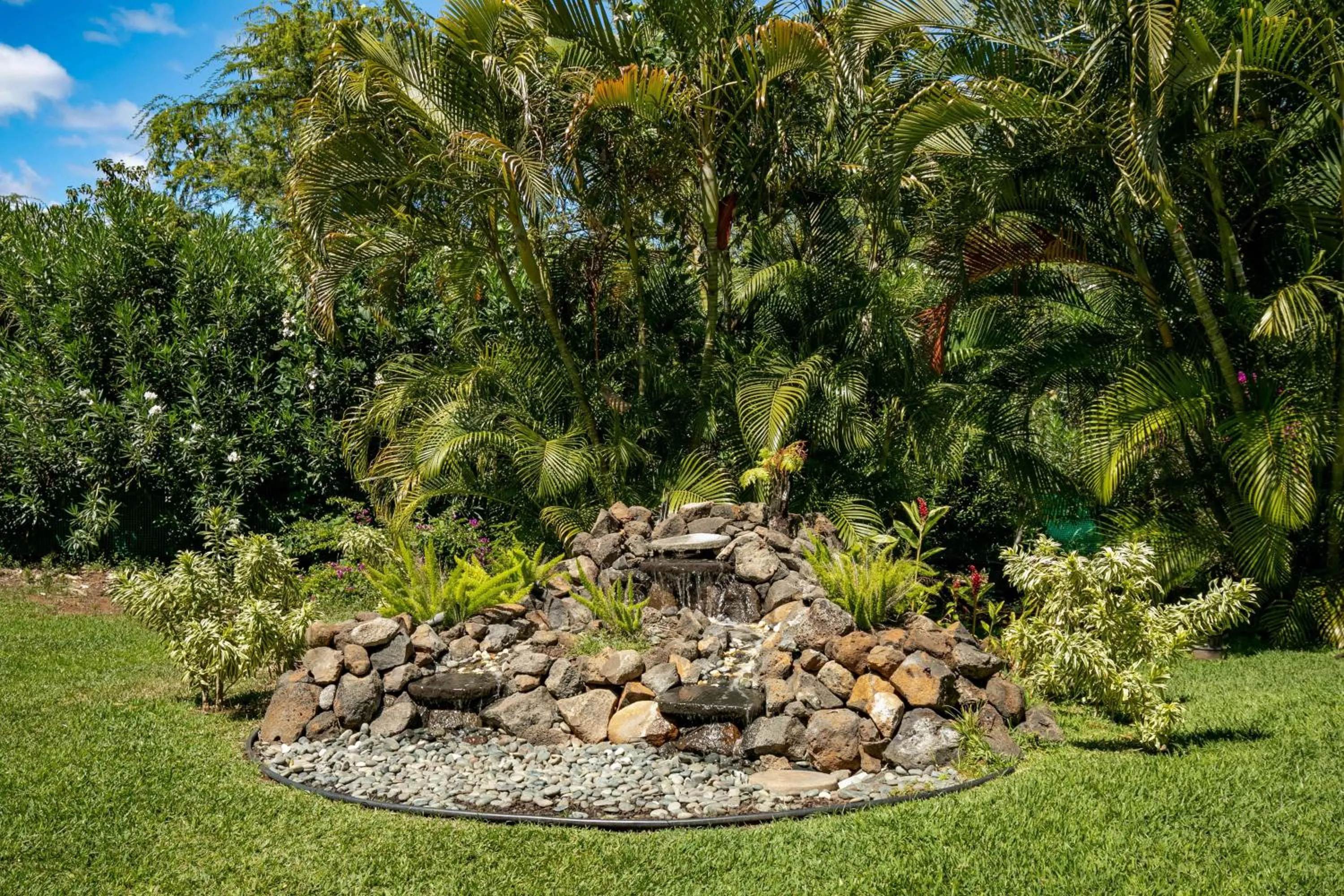 Day in Aston at the Maui Banyan