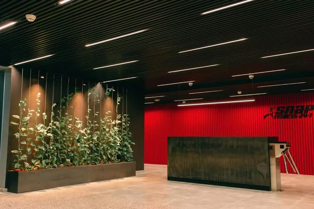 King David Residence