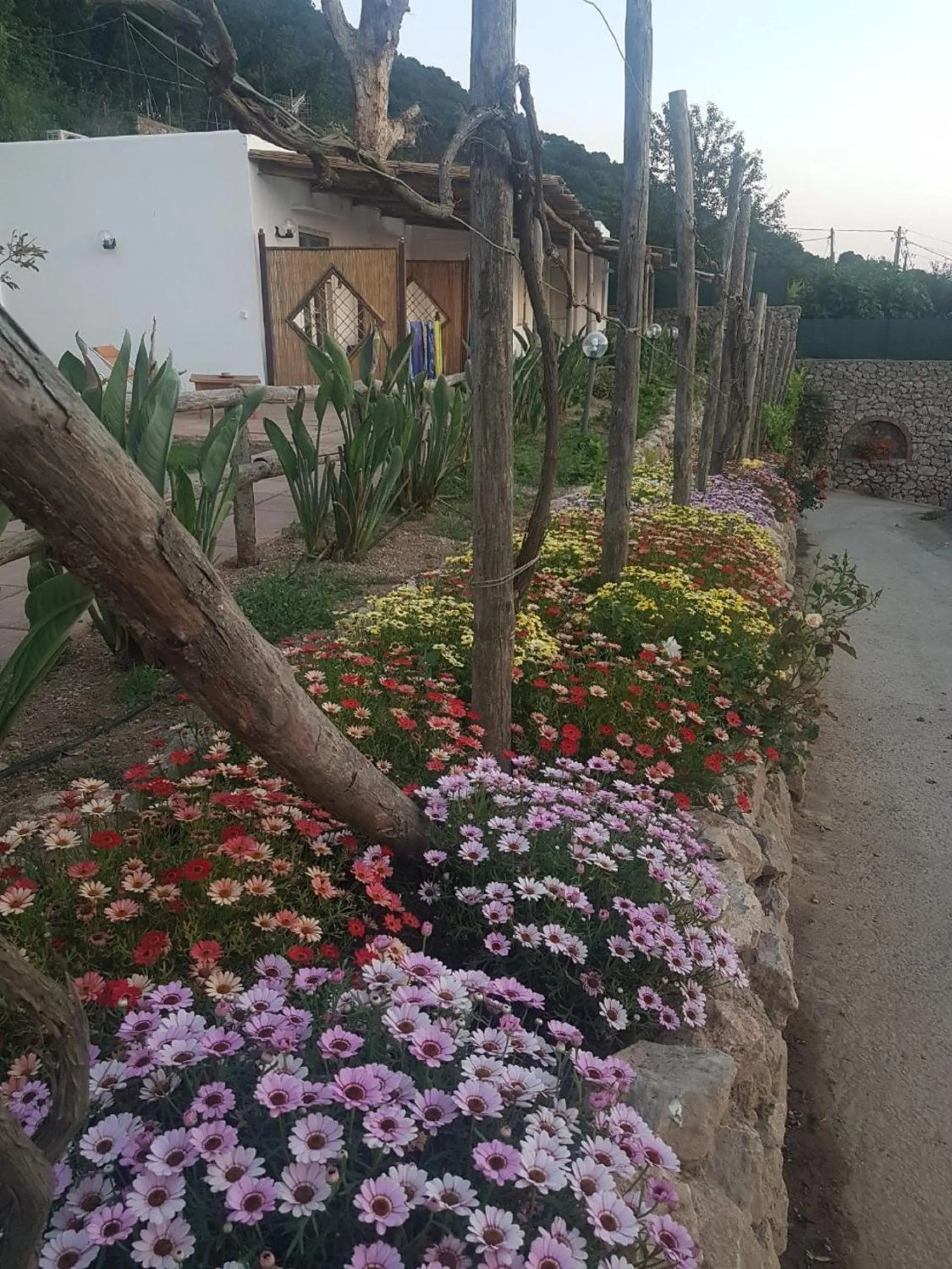 Spring in Agriturismo del Sole