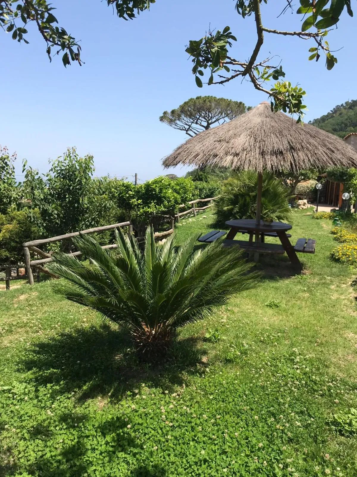 Garden in Agriturismo del Sole