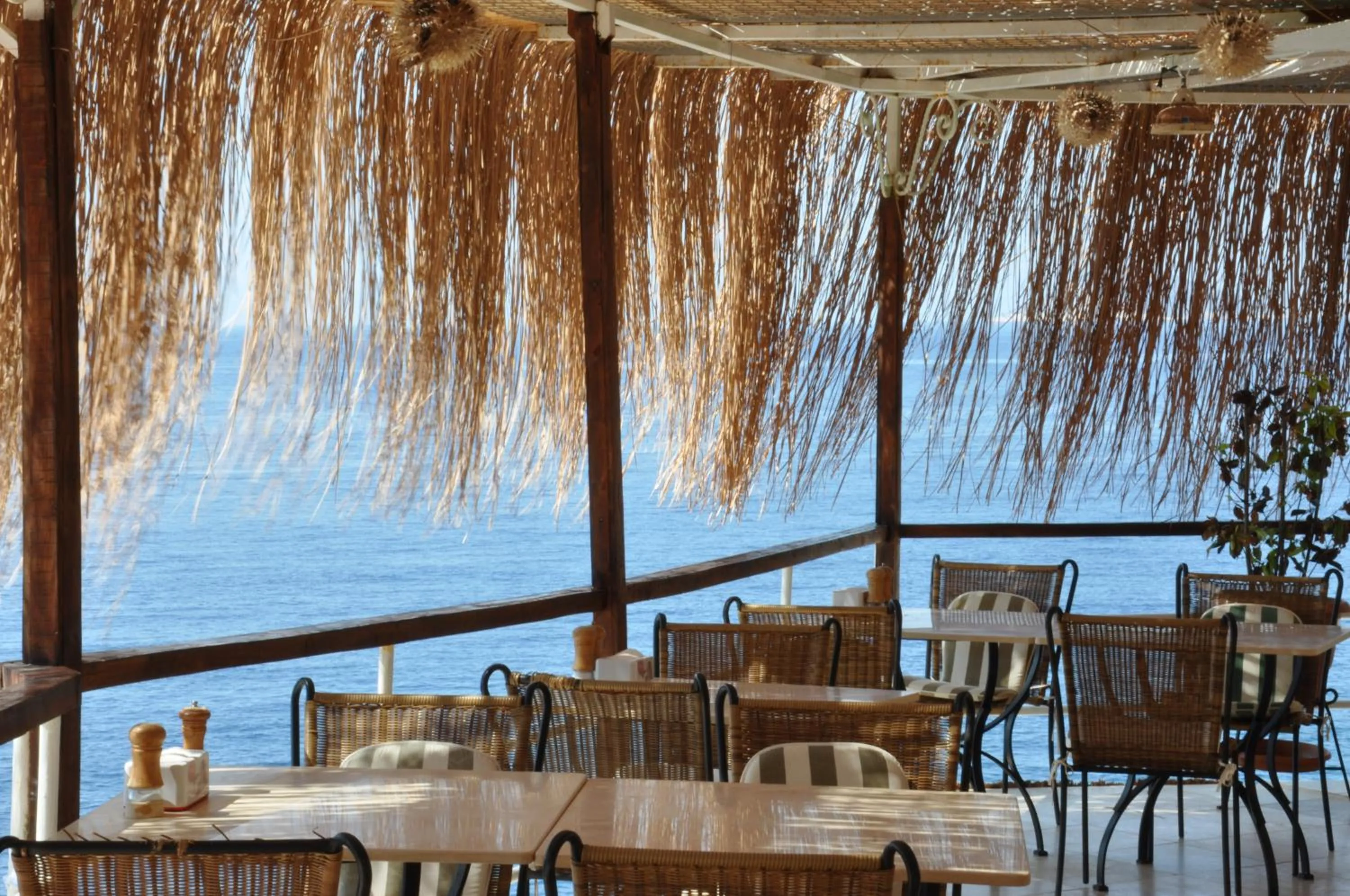 Restaurant/places to eat in Caretta Hotel