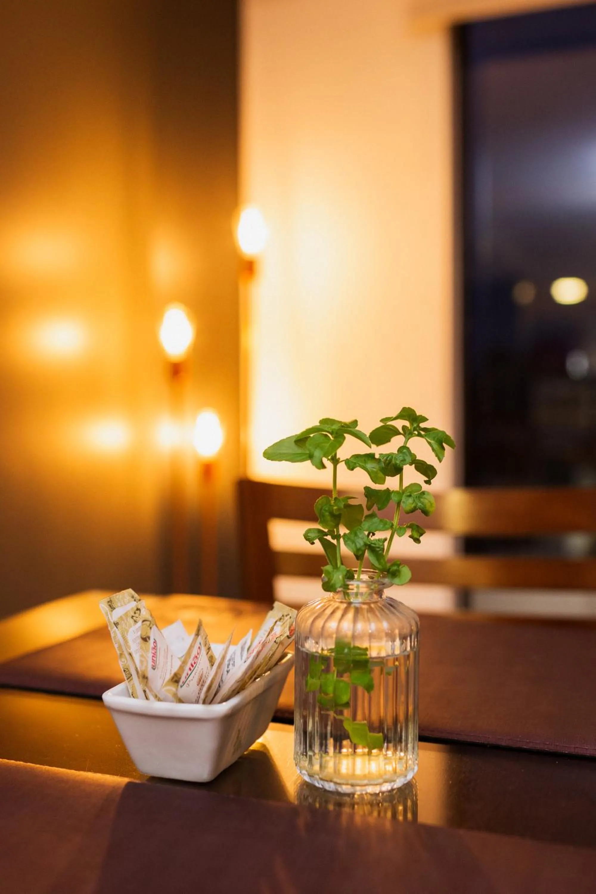 Dining area in Hotel Ferraz