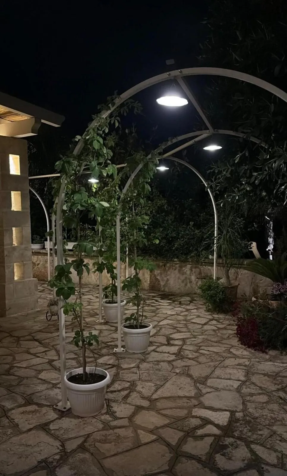 Garden in Don Peppe B&B