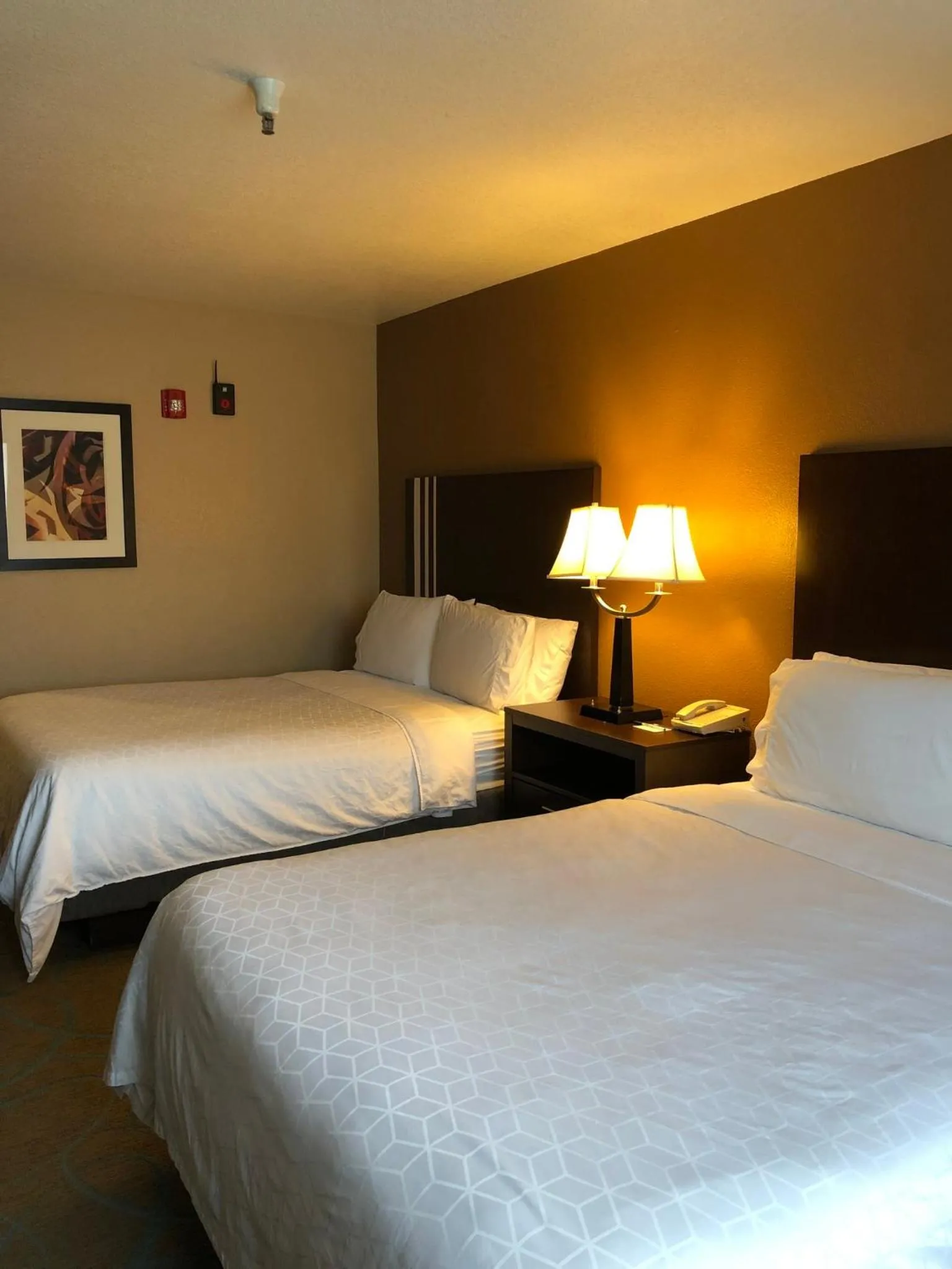 Photo of the whole room, Bed in Holiday Inn Express Winnemucca by IHG