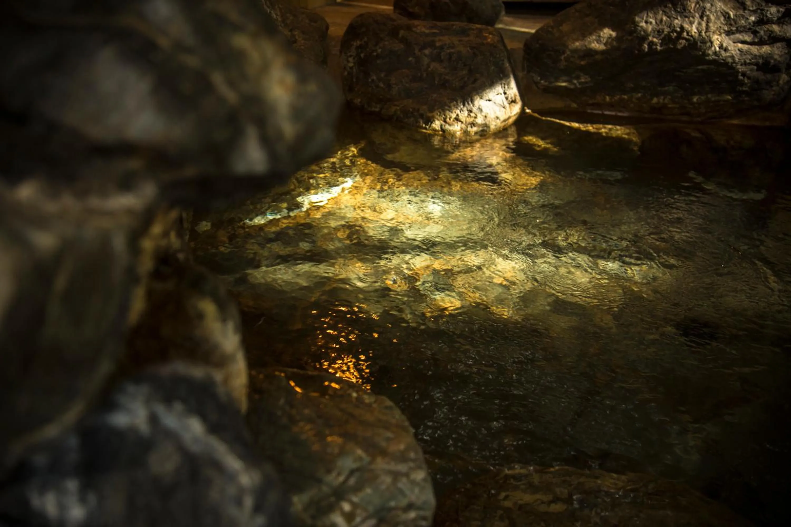 Public Bath in Hotel Kitanoya