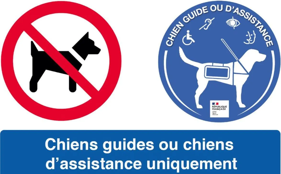 Animals in Hôtel l'Aragon