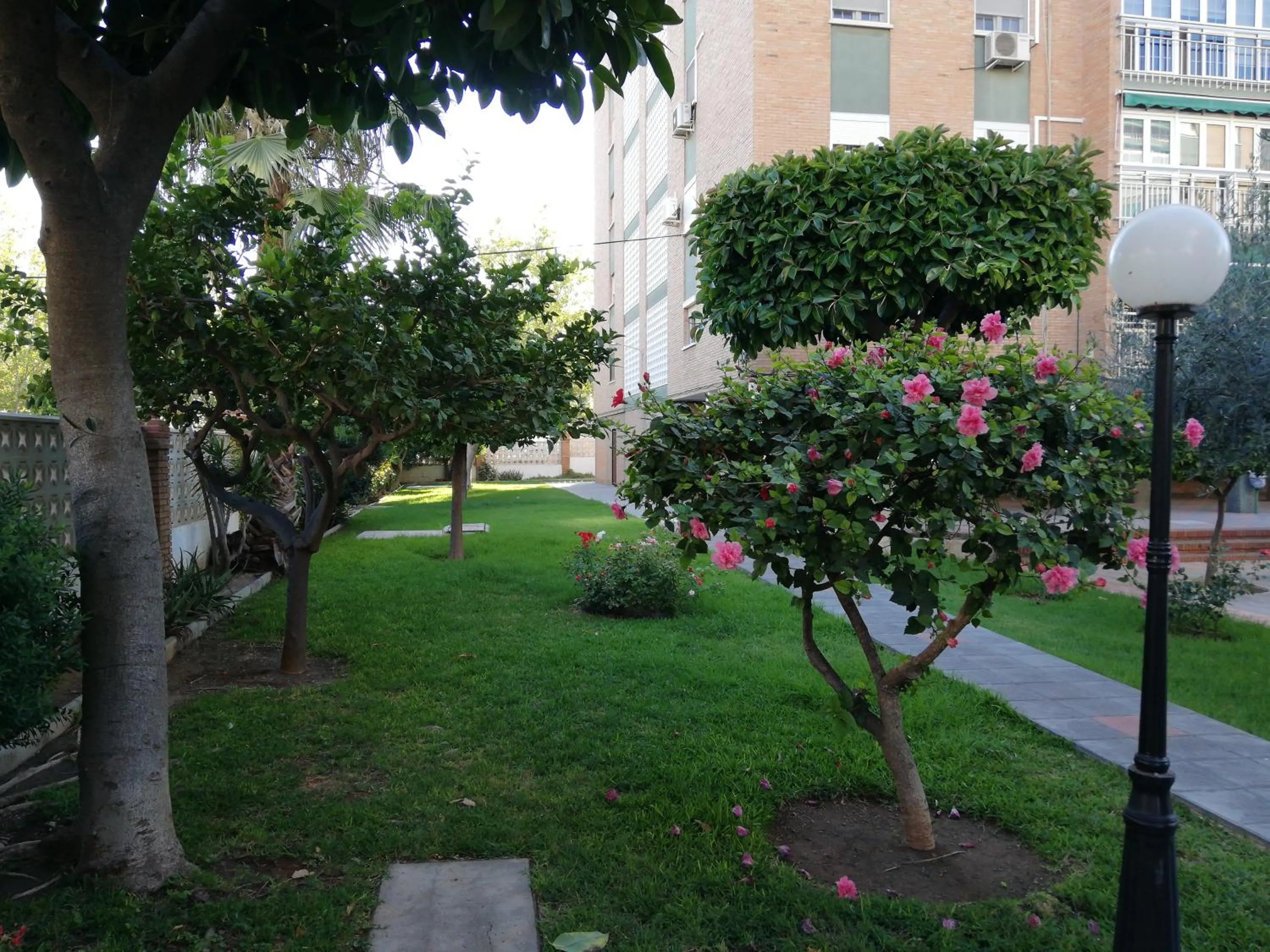 Property building in Apartamento Aurora