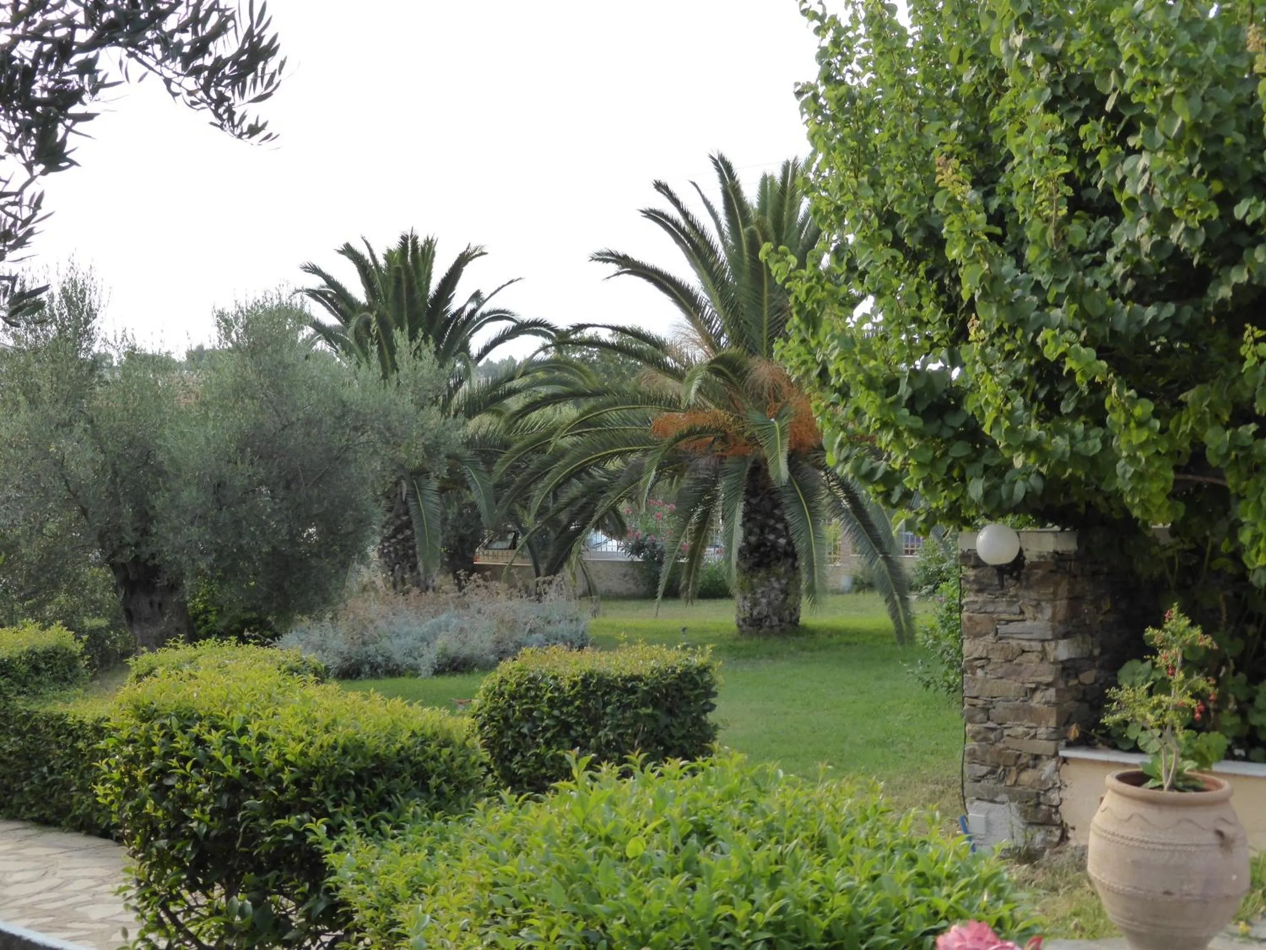 Garden in Porto Matina