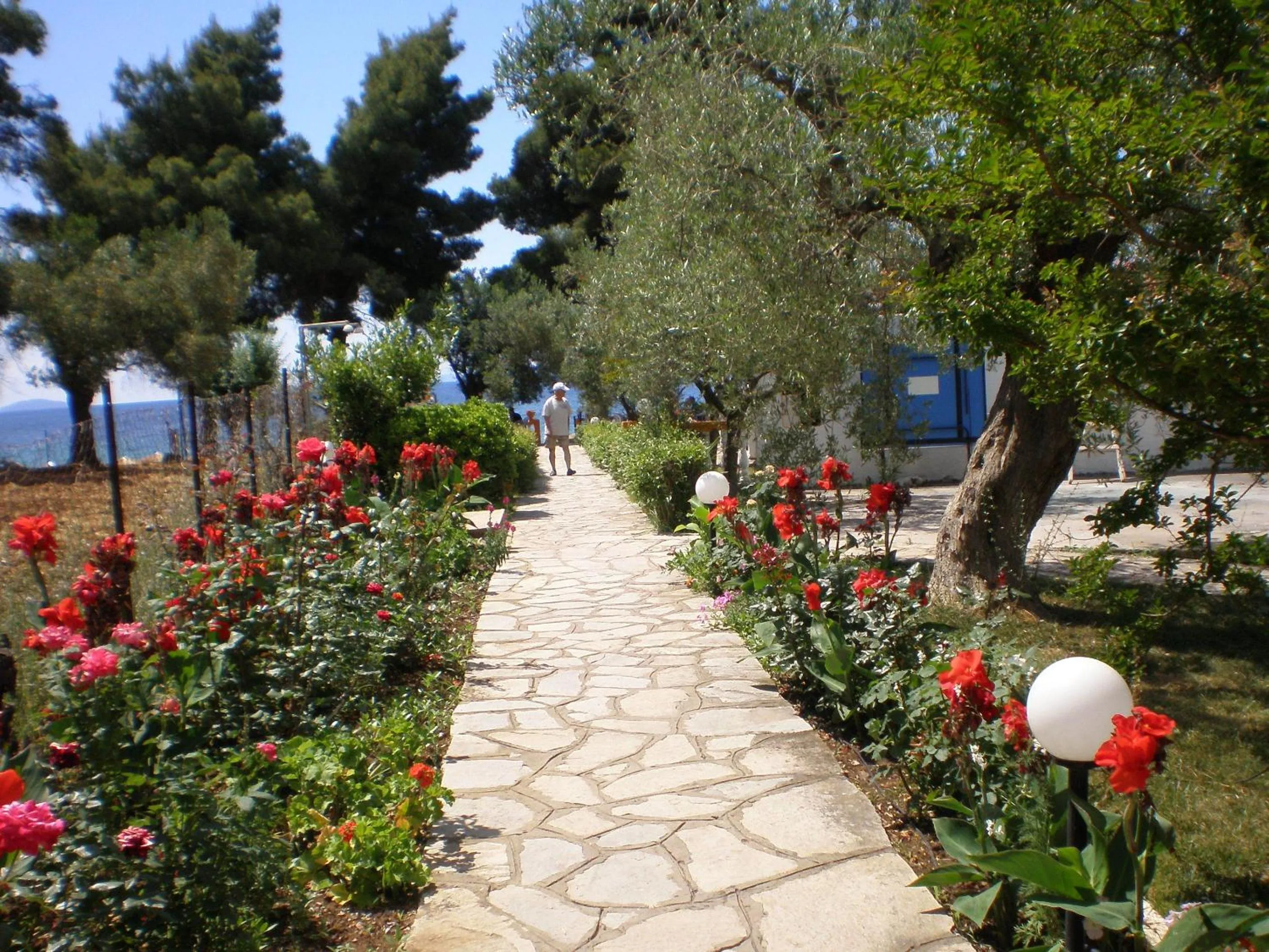 Garden in Porto Matina