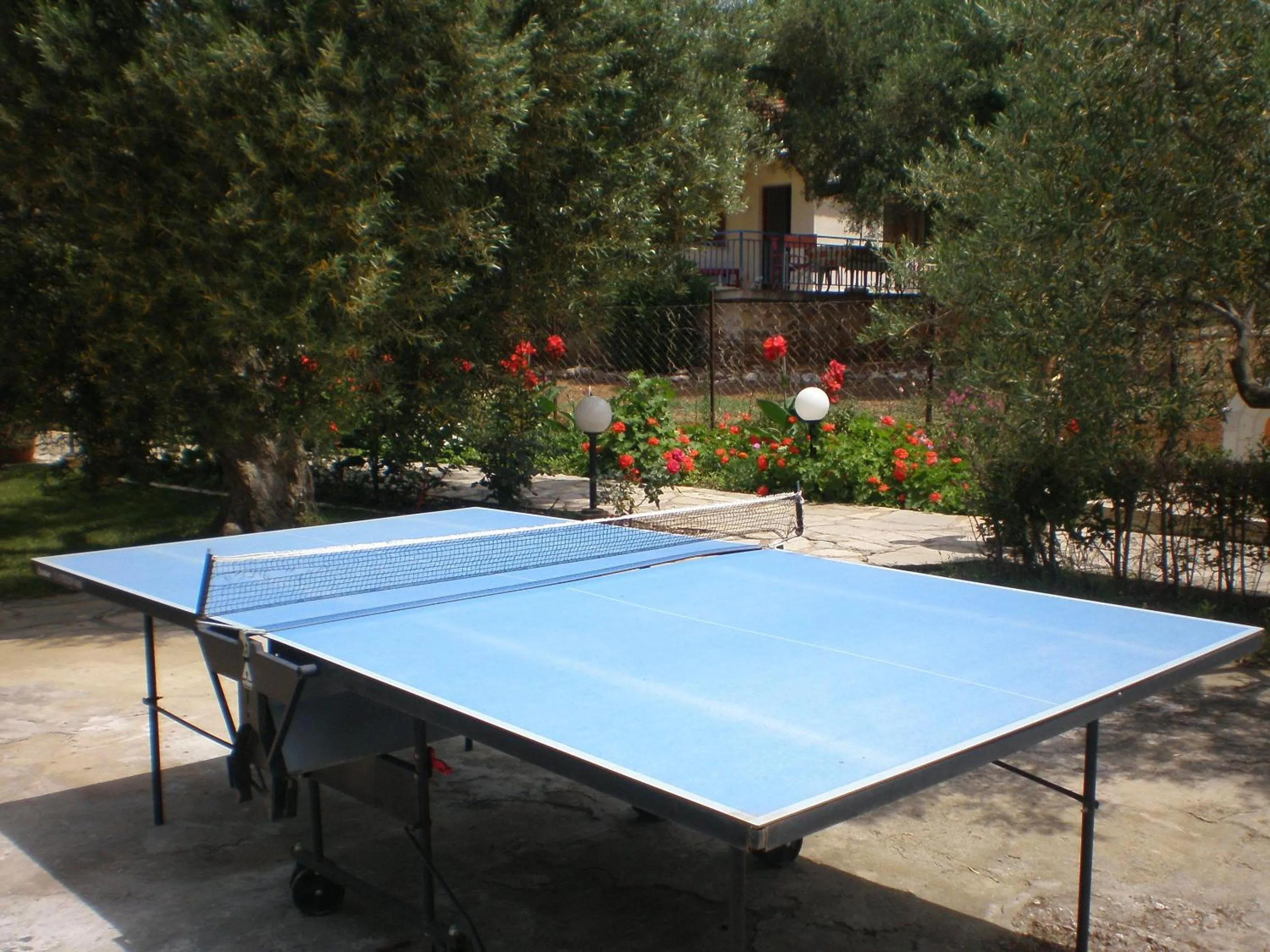 Table tennis in Porto Matina