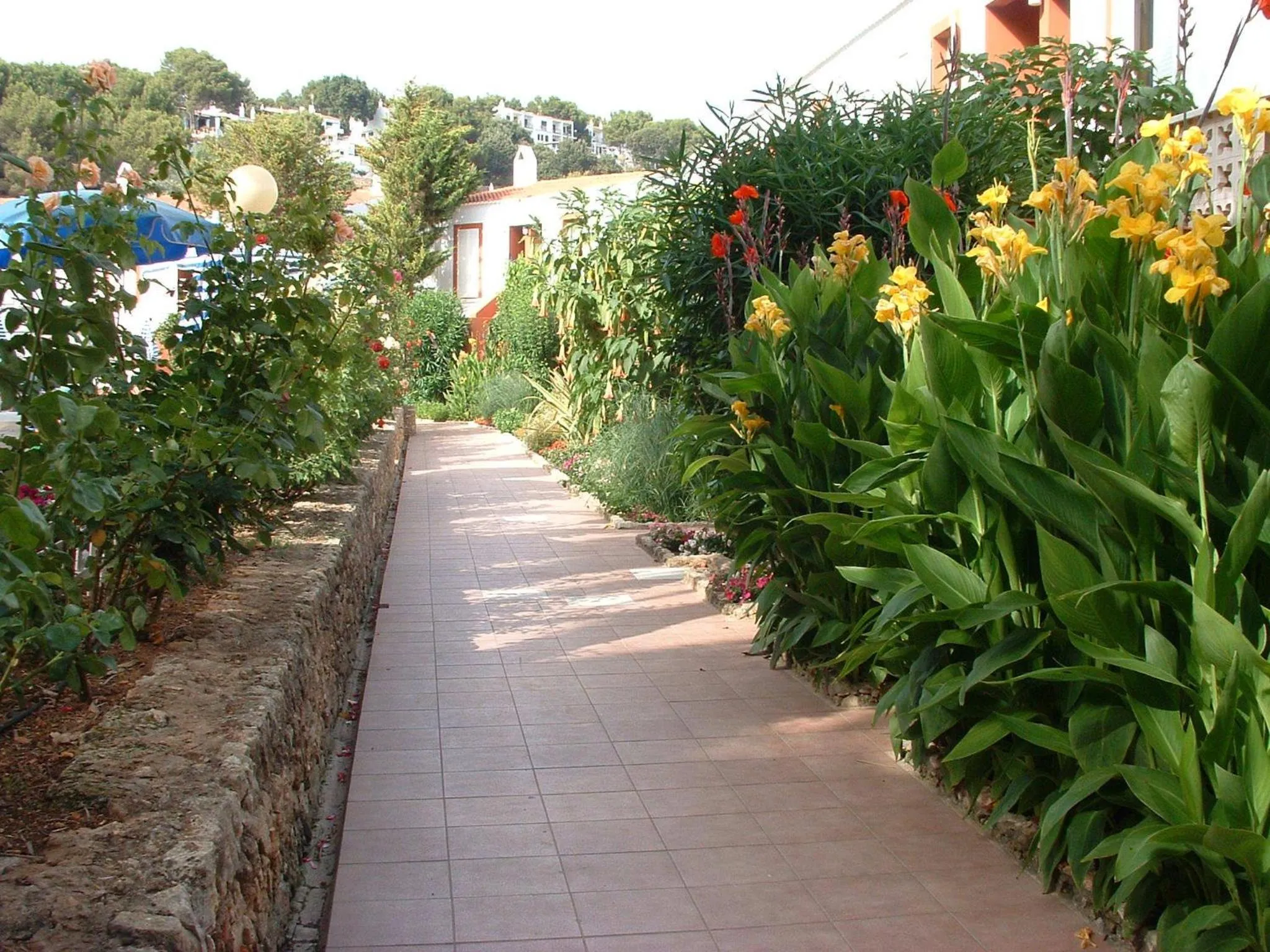 Garden in Galdana Gardens